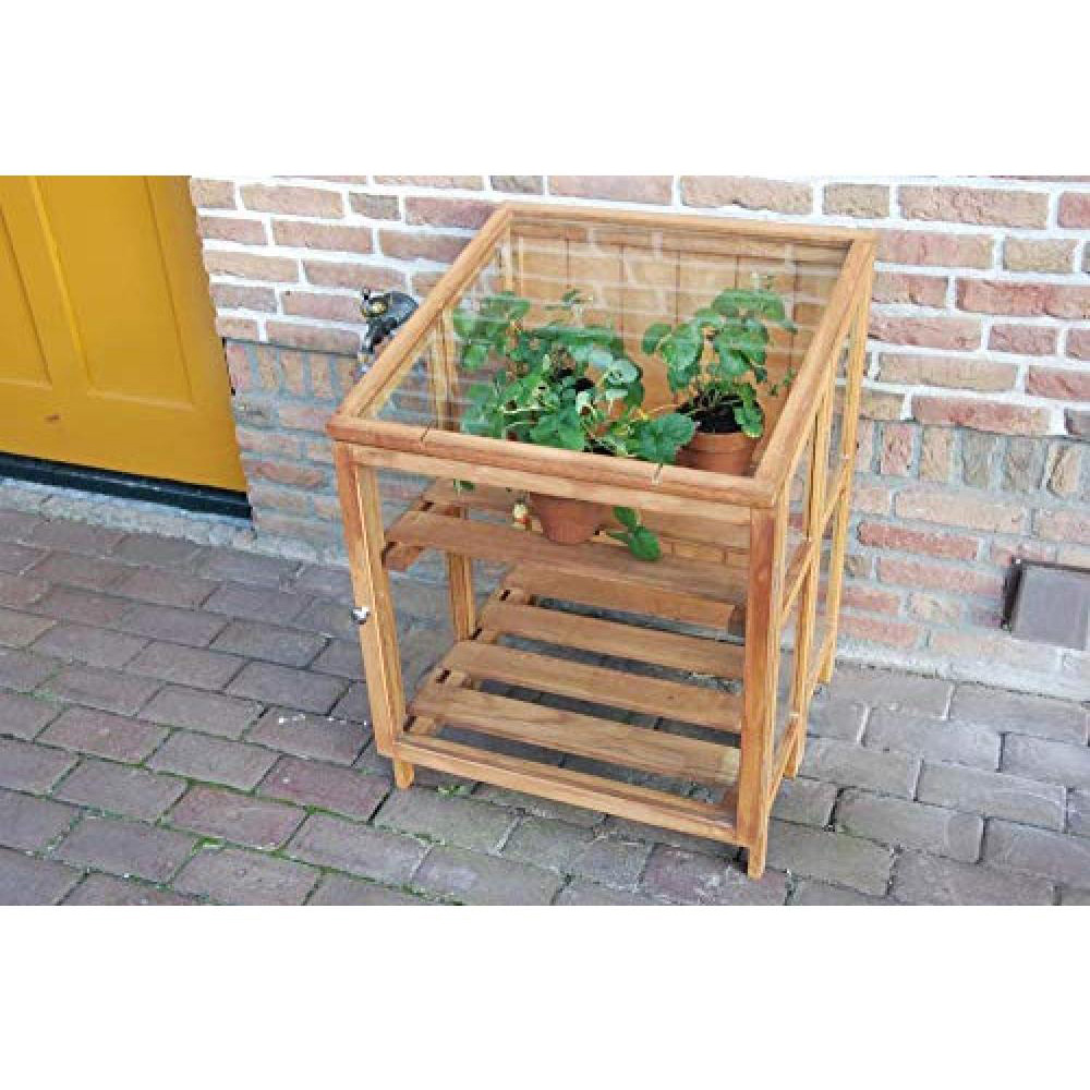 Fallen Fruits 2 Tier Hardwood Cold Frame Image 3