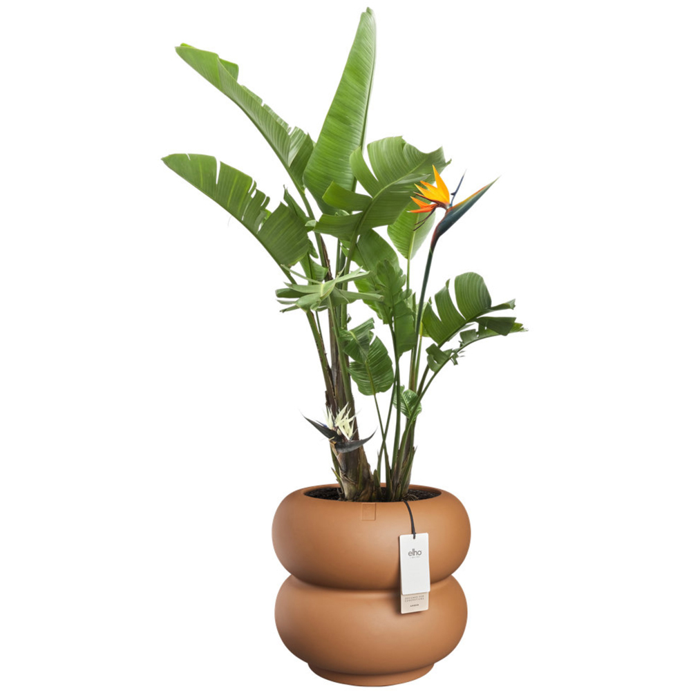 elho Amber Caramel Roll Low Plastic Plant Pot 43cm Image 3