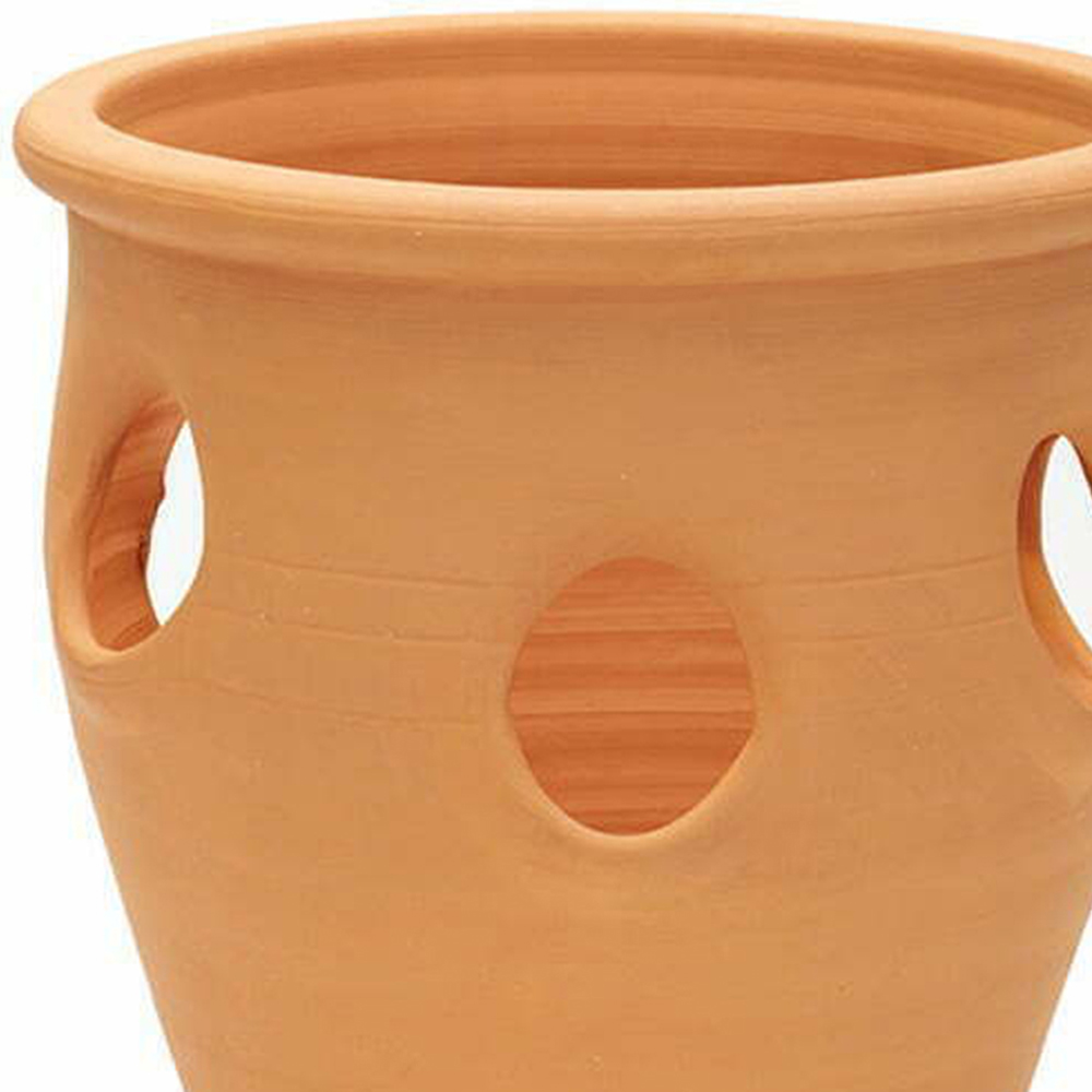 APTA Terracotta Outdoor Herb Planter 20cm Image 2