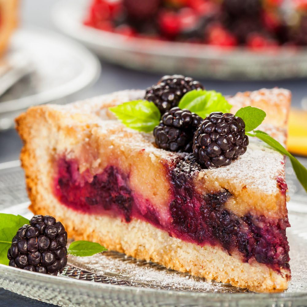 Thompson & Morgan Blackberry Rubus Opal Potted Plant Image 2