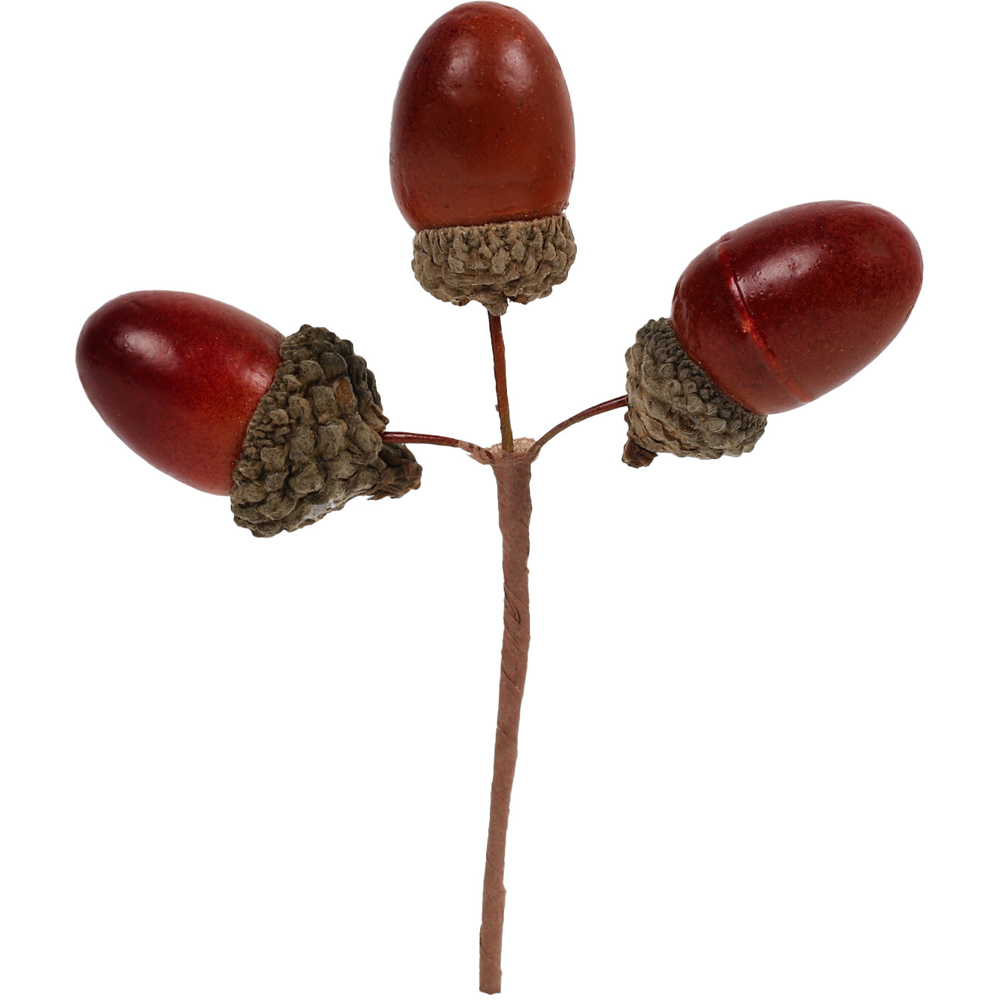 Acorn Picks Image 3