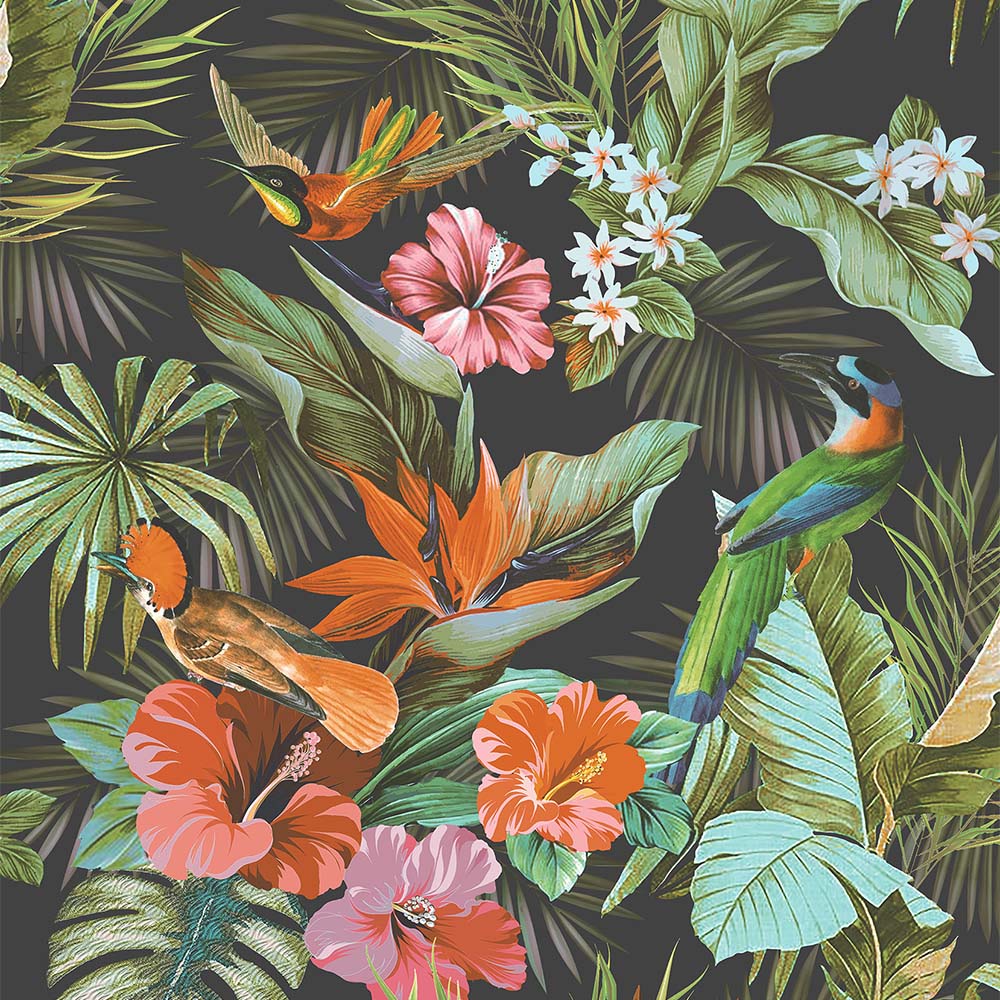 Rasch Paradise Birds Black and Multicolour Wallpaper Image 1