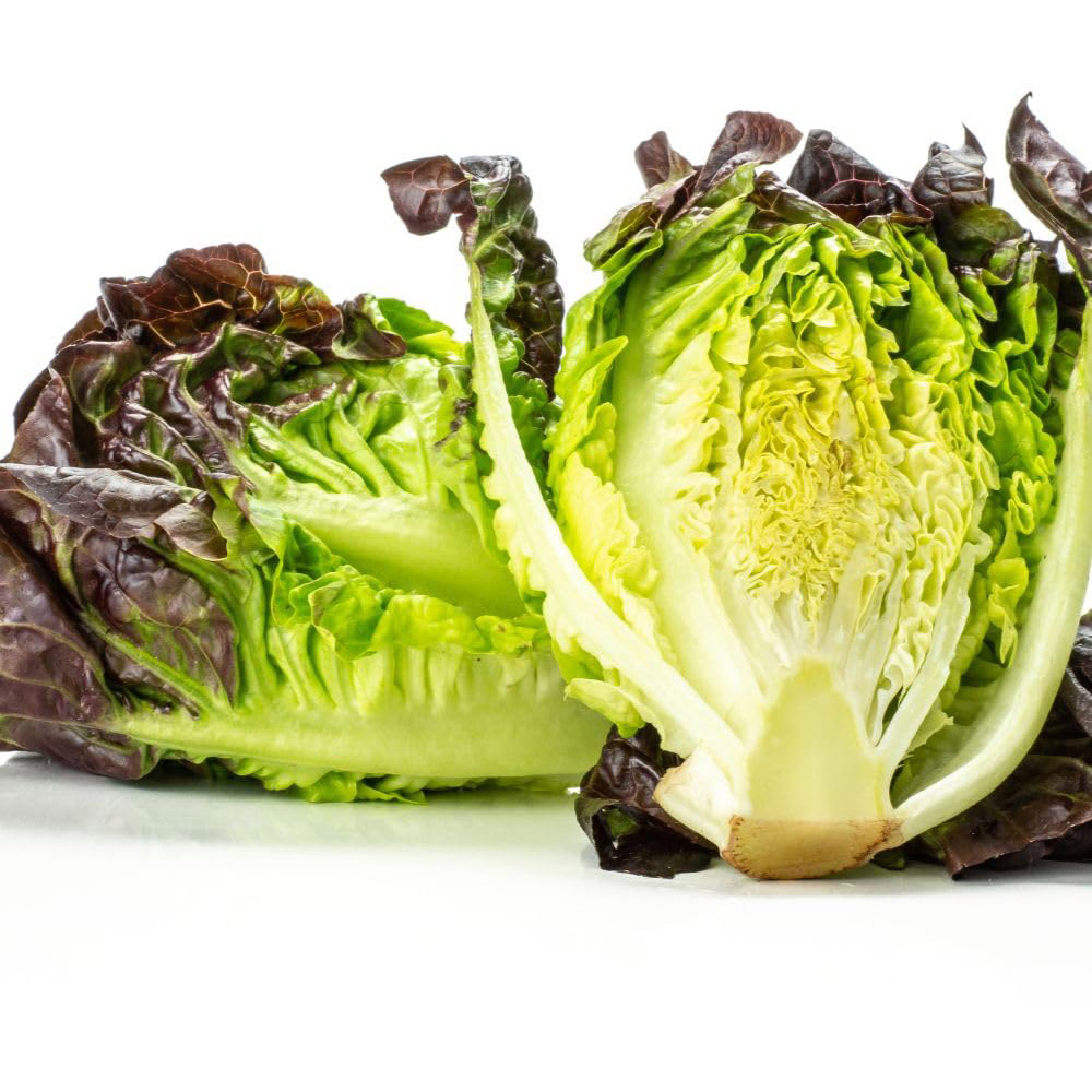 Thompson and Morgan Lettuce Amaze Seed Packet Image 2