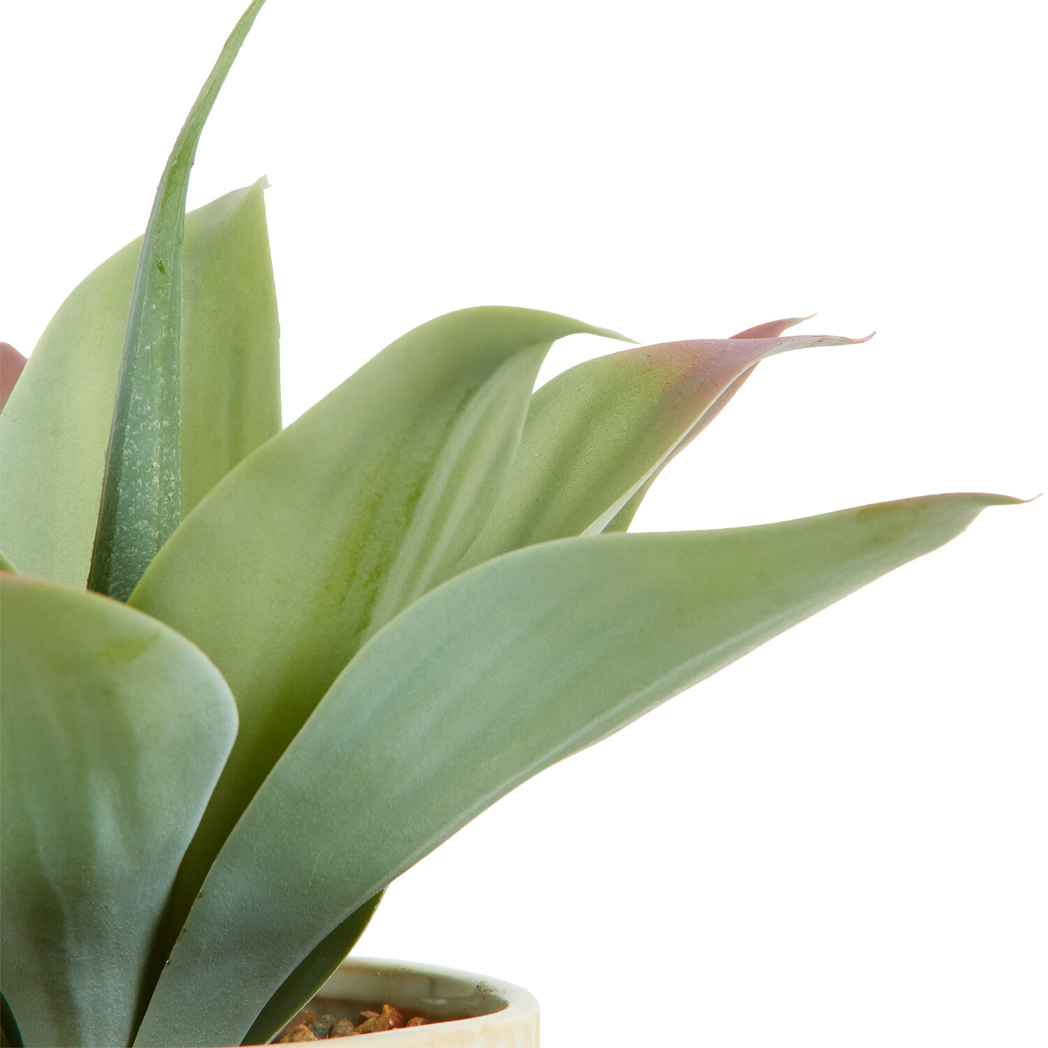 Faux Agave Plant in Dimpled Pot - Green Image 4