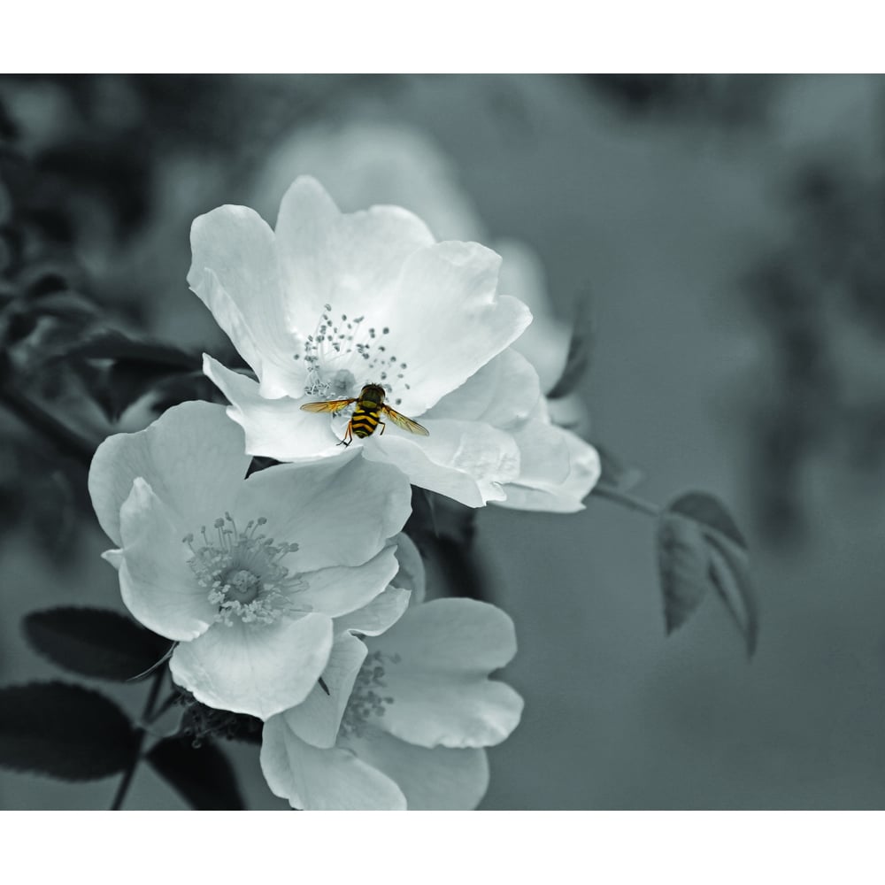 Mirrorstone Nexus Pollination Image Wi-Fi Infrared Heating Panel 1200W 995 x 1195mm Image 4