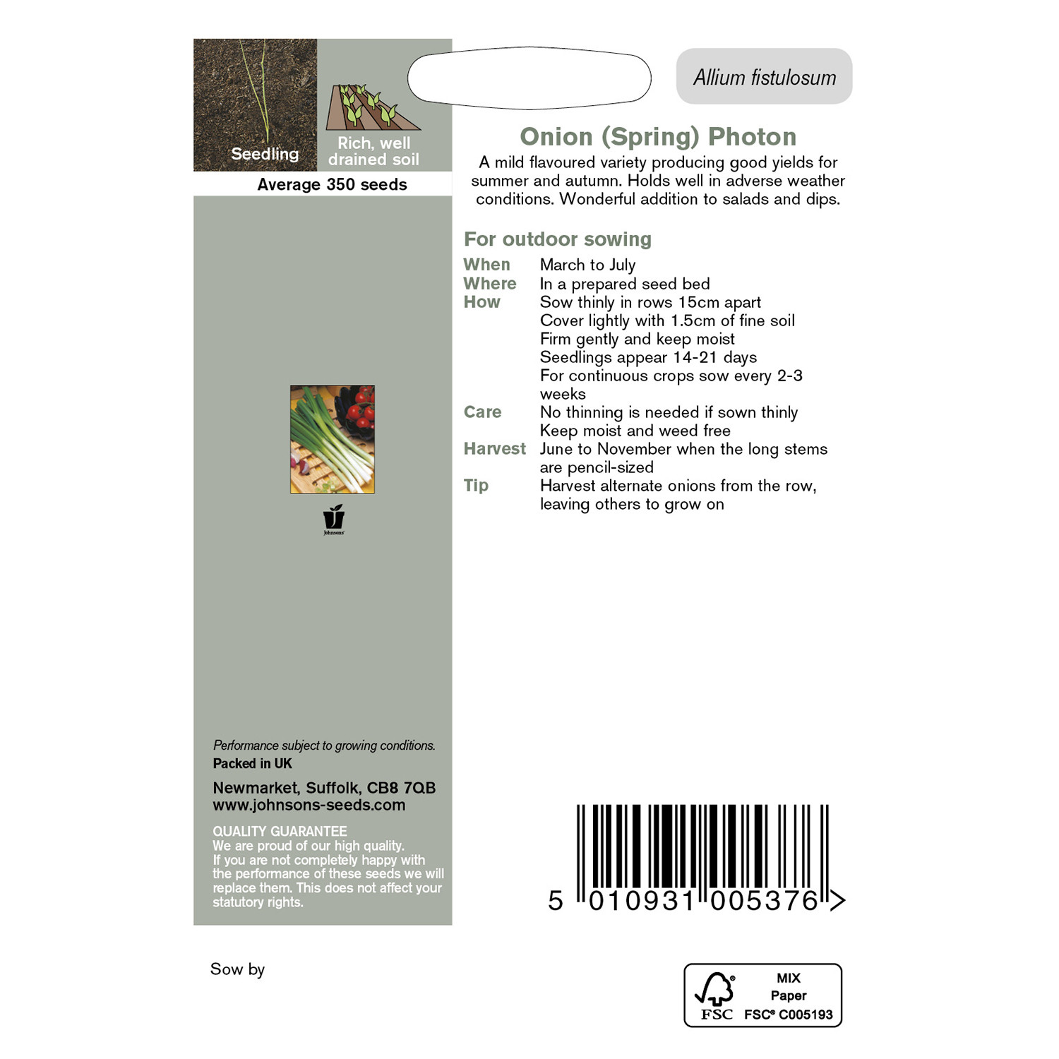 Johnsons Photon Spring Onion Seeds Image 3