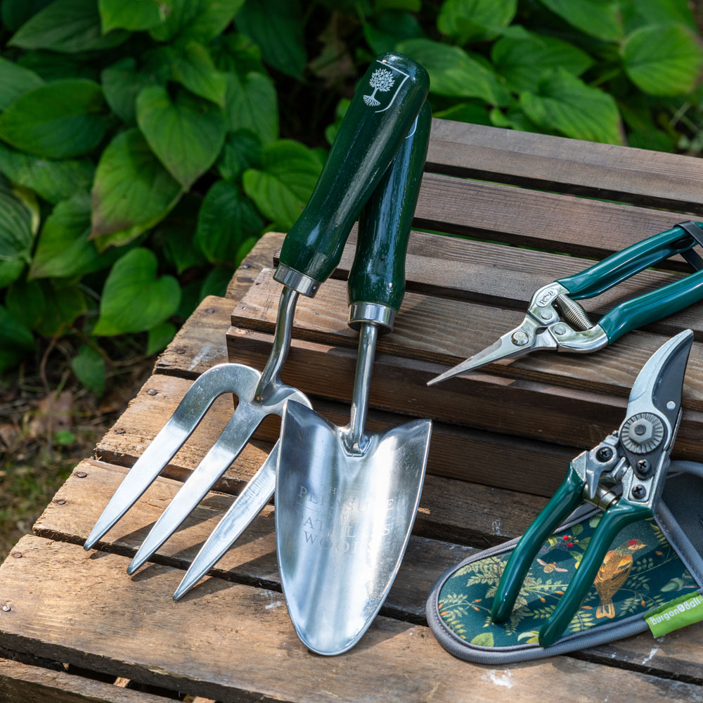 RHS Woodland Wonders Stainless Steel Garden Trowel and Fork Set in Gift Box Image 2