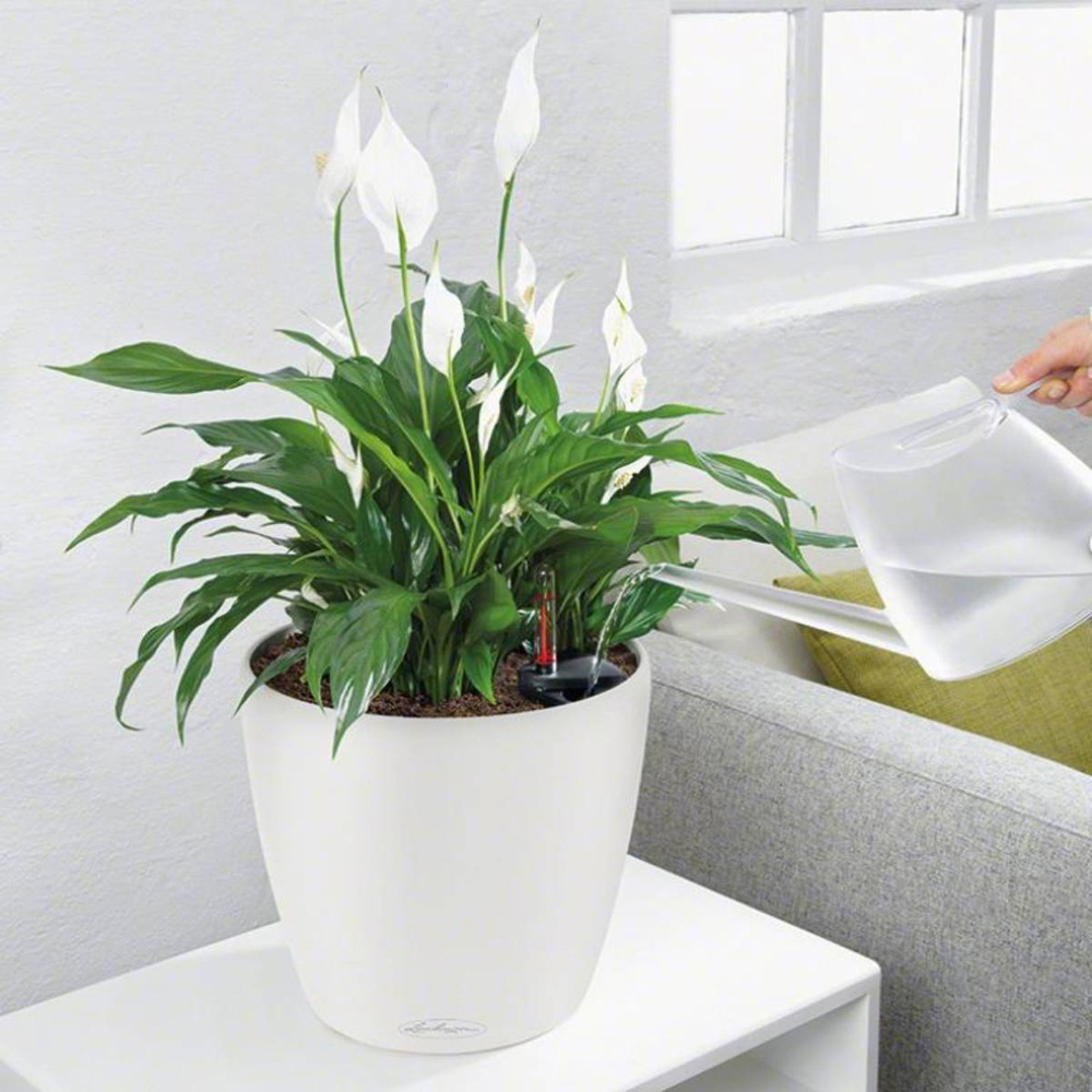 Lechuza Classico White Polyresin Self Watering Planter 21cm 2 Pack Image 2