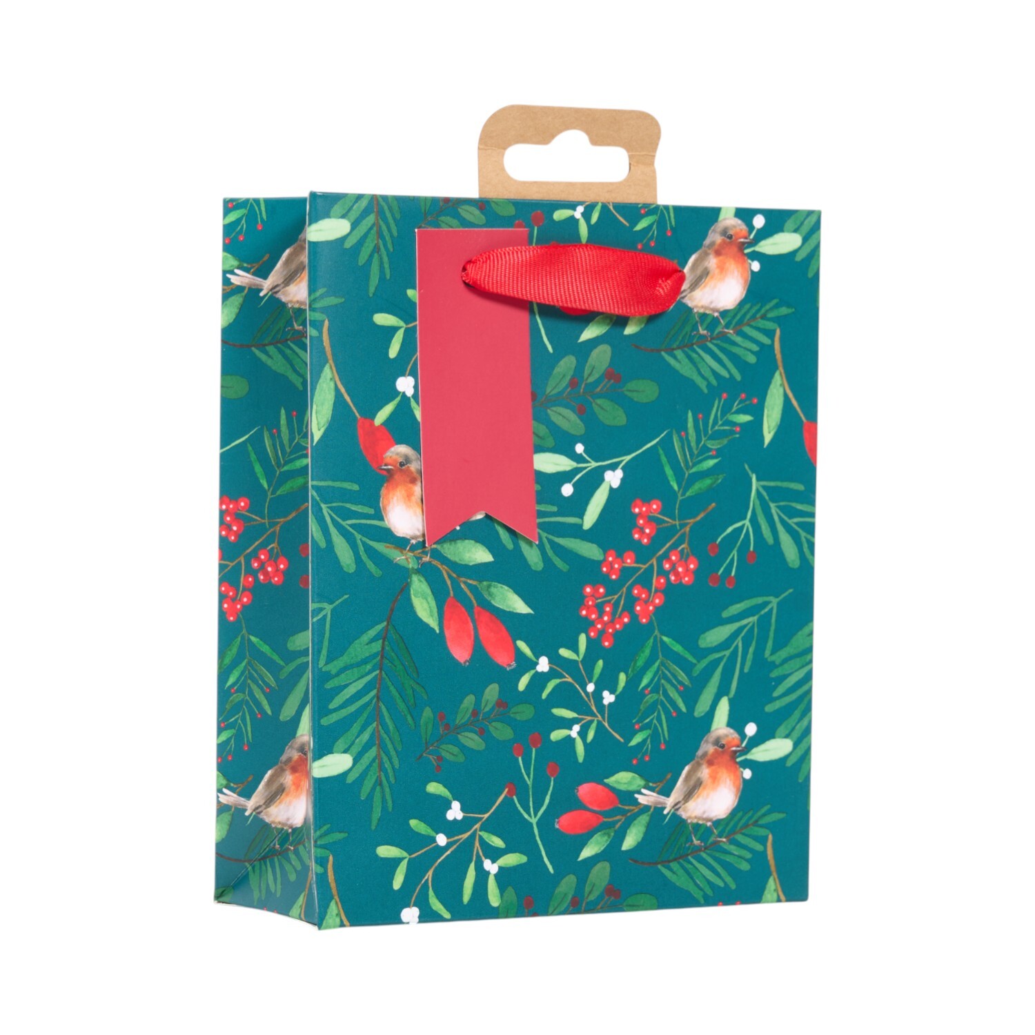 Robin Gift Bag Small Image 18