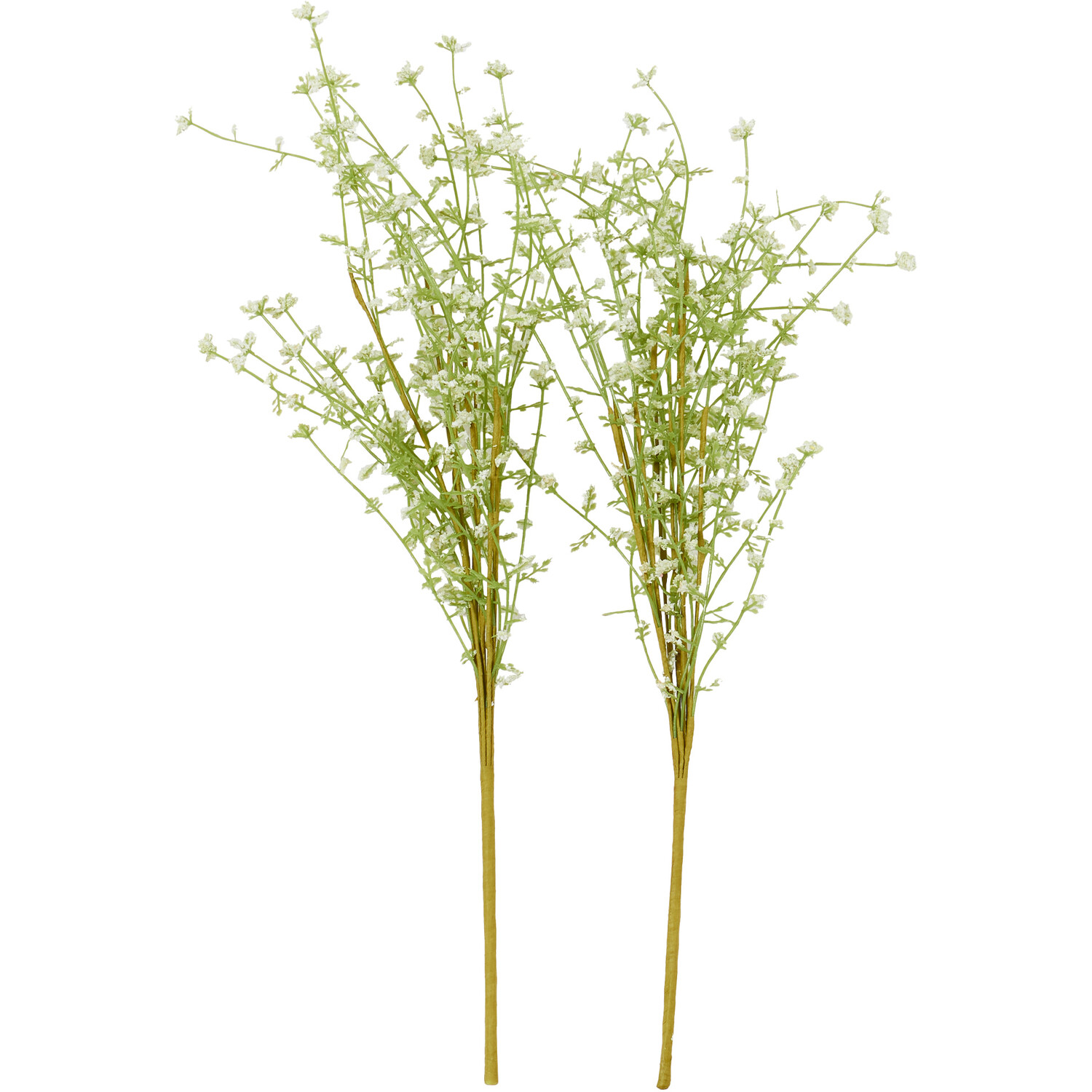 Spring Gypsophila Spray Image 9