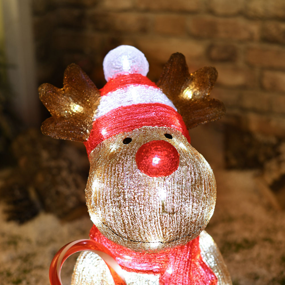 Acrylic Festive ReindeerBrown Image 6