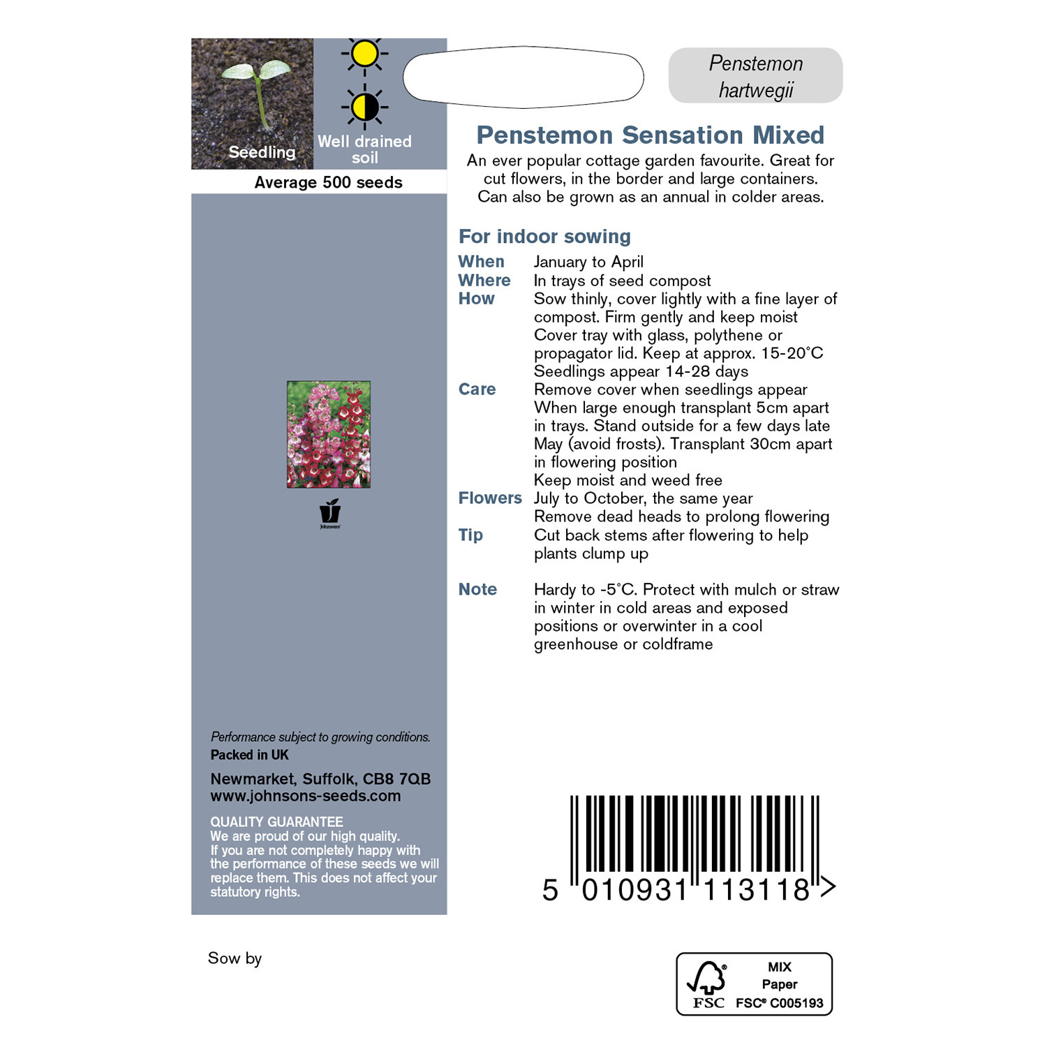Johnsons Penstemon Sensation Mixed Flower Seeds Image 3