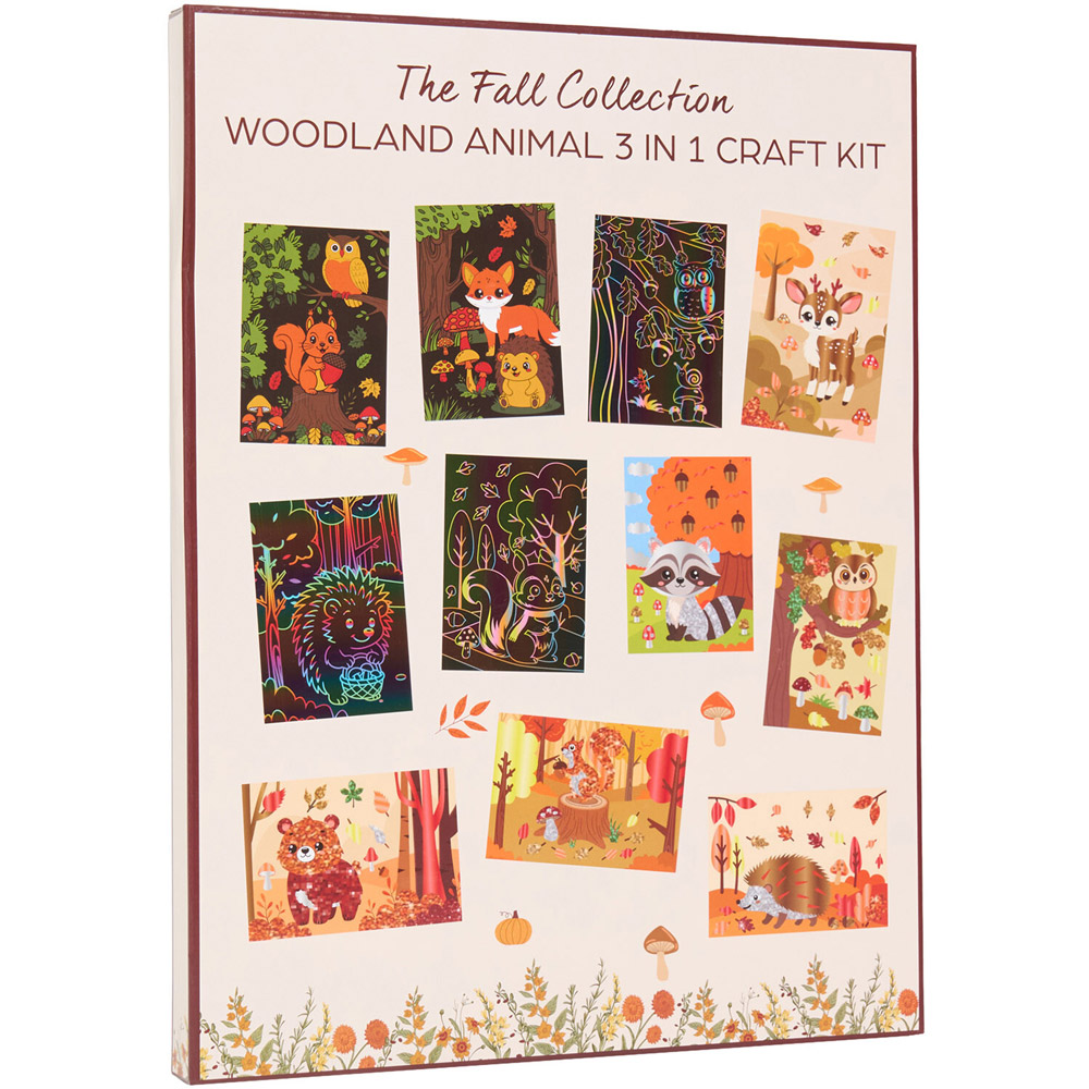 Woodland Animal 3-in-1 Craft Kit Image 3