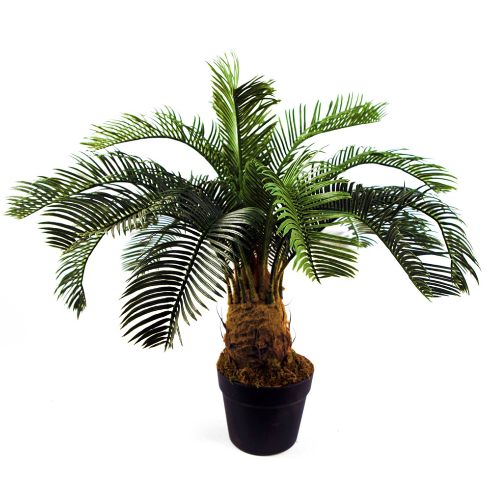 Leaf Cycas Palm Artificial Tree 60cm Image 2