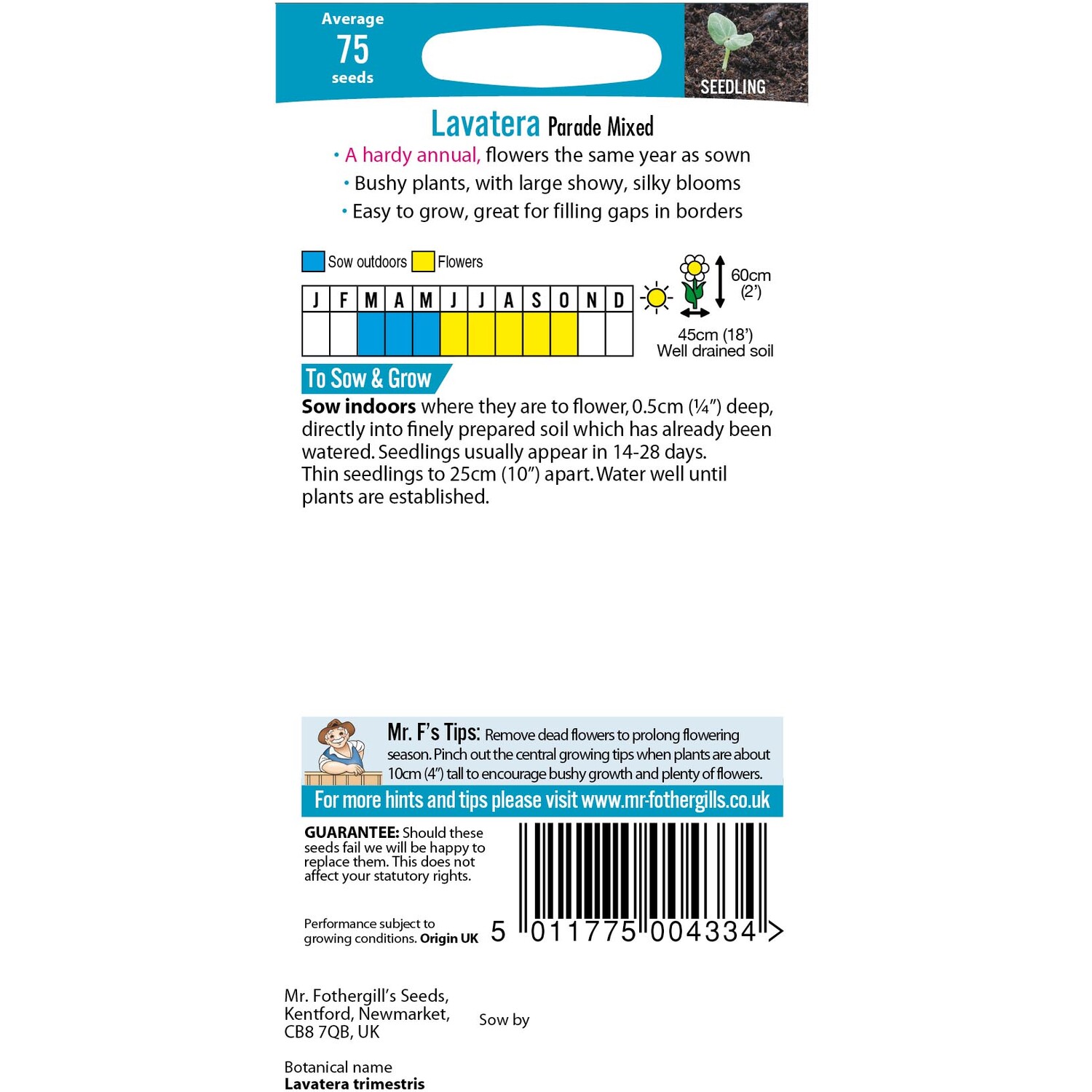 Lavatera Parade Mixed Seeds Image 2