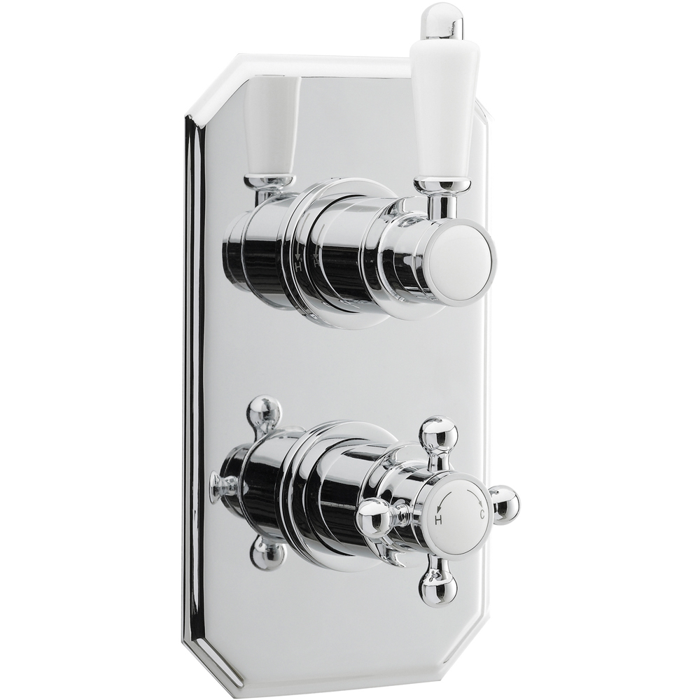 nuie Chrome Twin Thermostatic Shower Valve Image 1