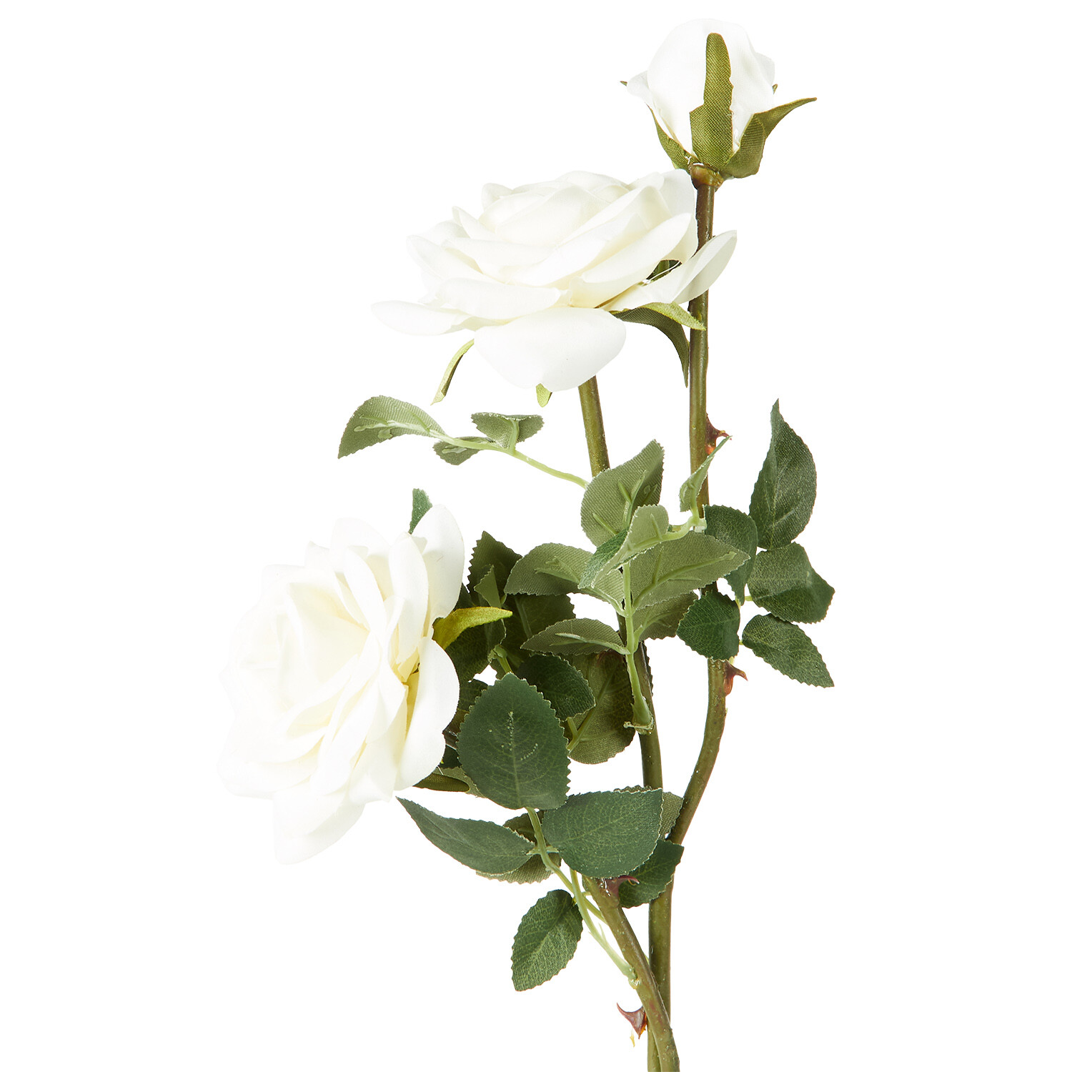 Assorted Supreme Rose Stem - White or Ivory Image 3