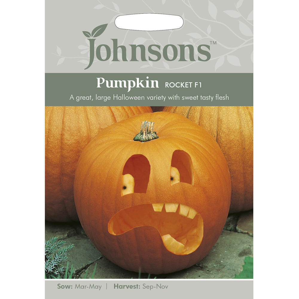 Johnsons Rocket F1 Pumpkin Seeds Image 2