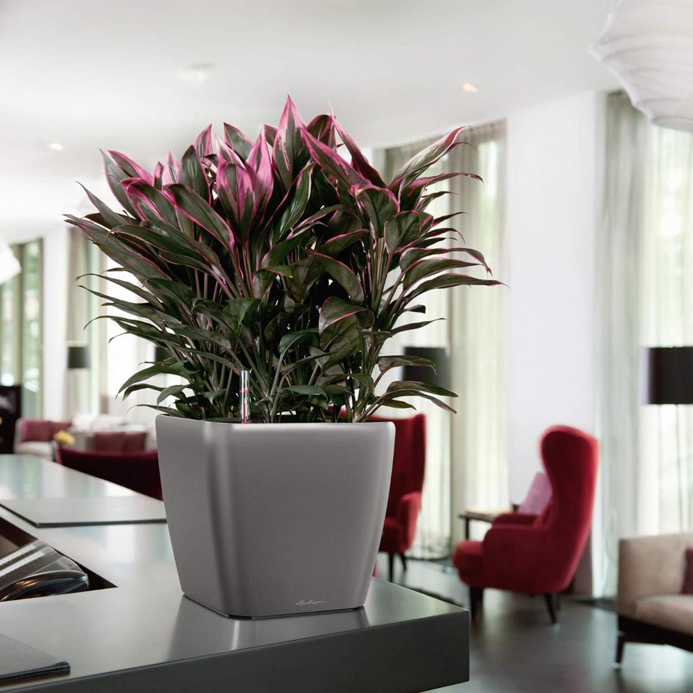 Lechuza Quadro LS 35 Charcoal Poly-Resin Self-Watering Planter 33cm Image 2