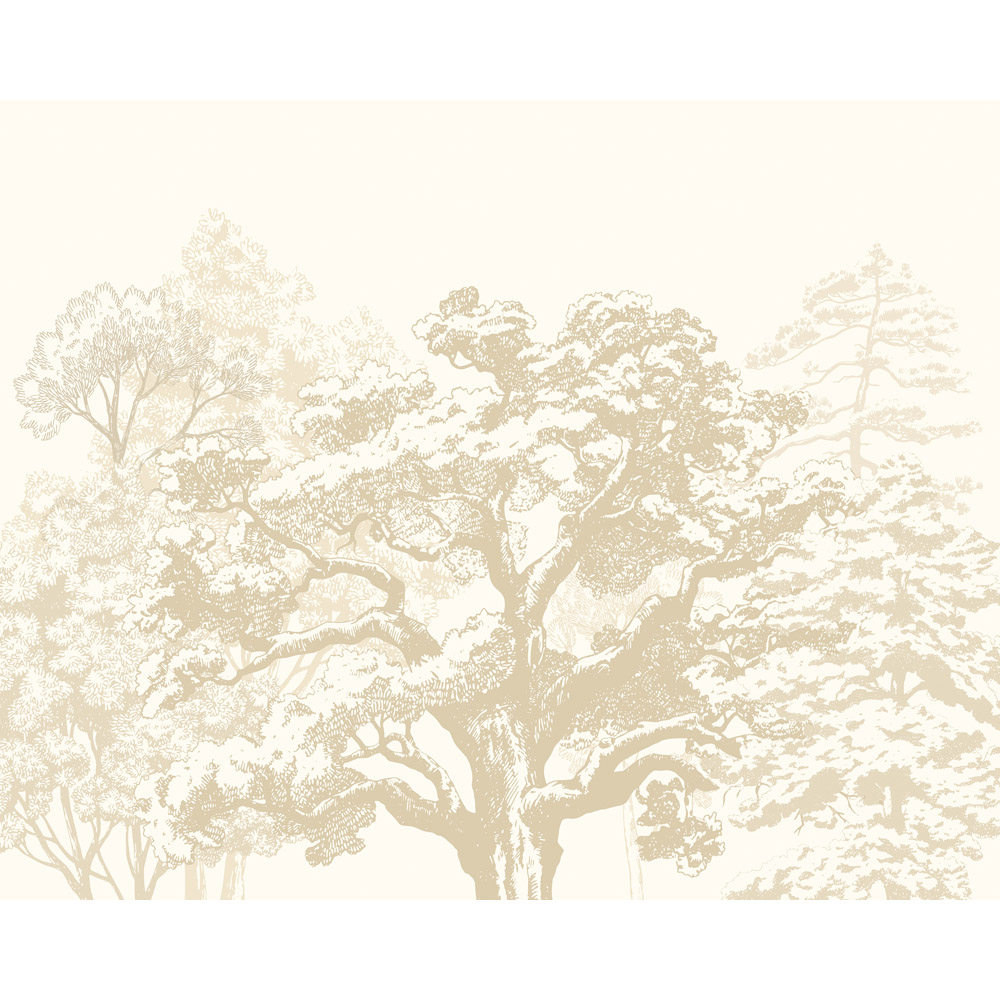 Origin Murals Etched Trees Parchment Wall Mural Medium Image 2