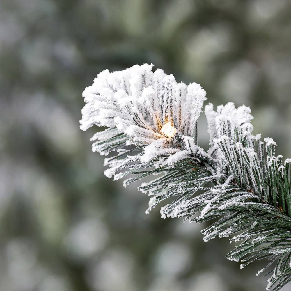 Evergreen Classics Snowy Oxford Pine Pre-Lit Artificial Christmas Tree 6ft Image 8