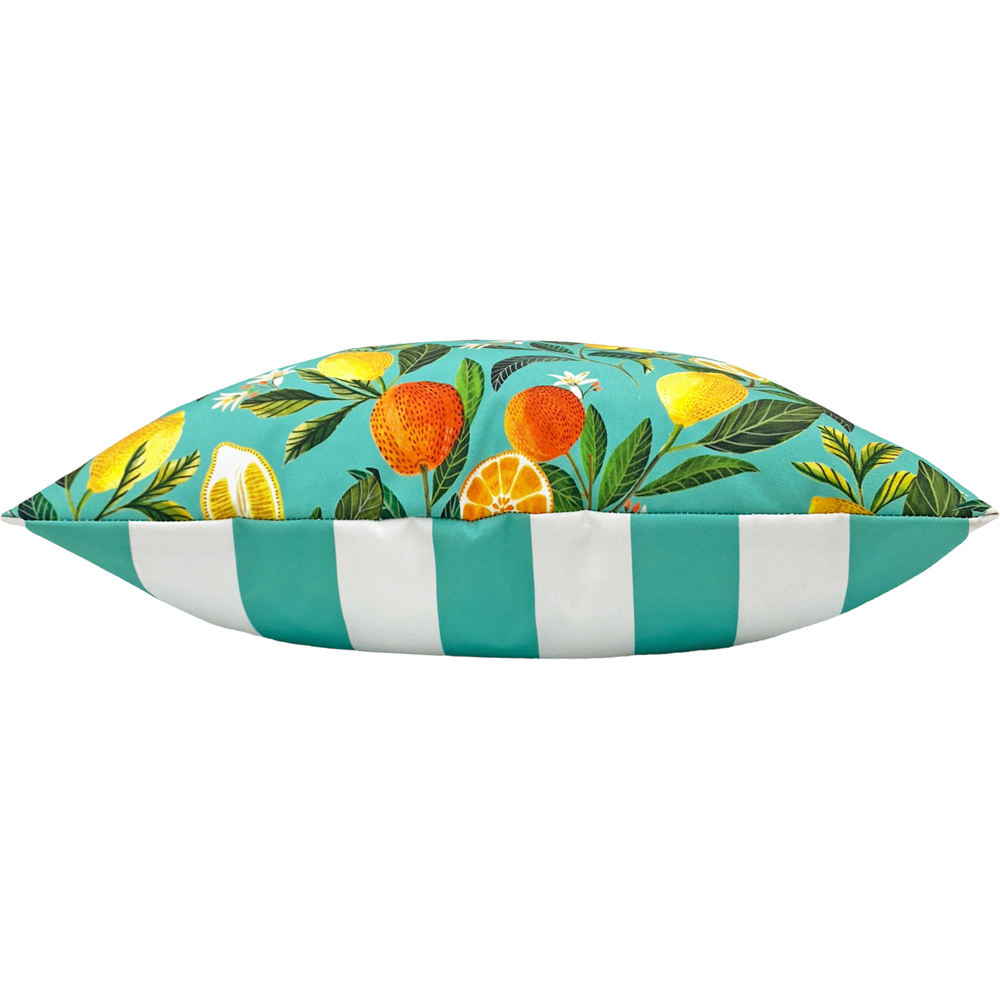 Evans Lichfield Orange Blossom Outdoor Reversible Cushion Image 3