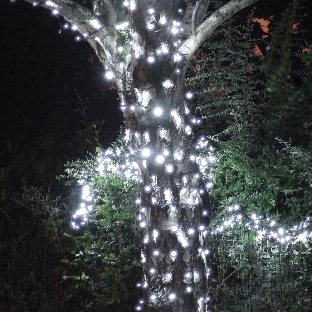 Eagle Connect Cool White LED Black String Light 35m Image 3