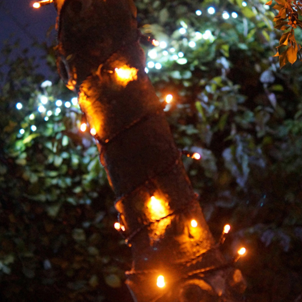 Eagle Connect 80 Warm White LED String Light 10m Image 3