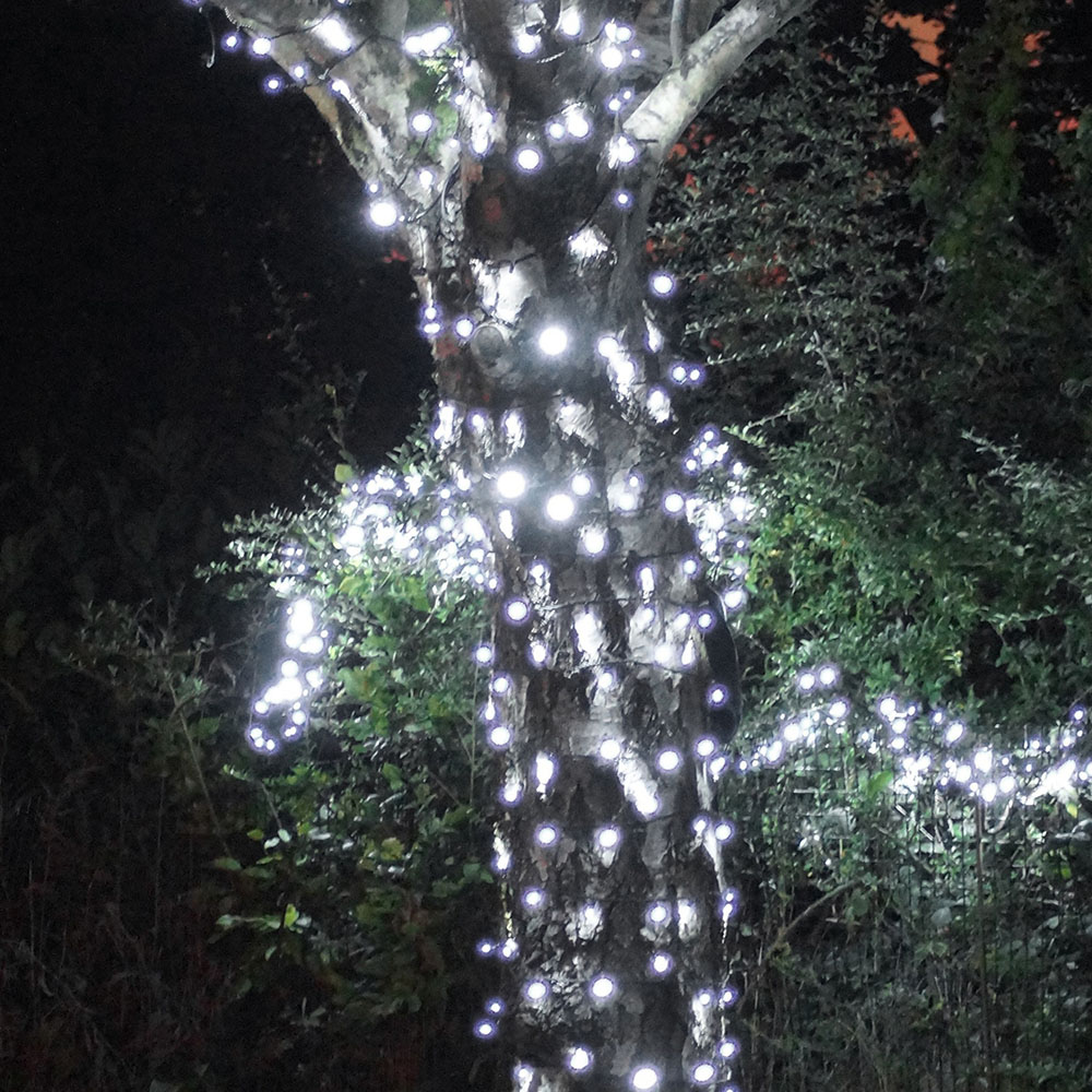 Eagle Connect Cool White LED Black String Light 55m Image 3