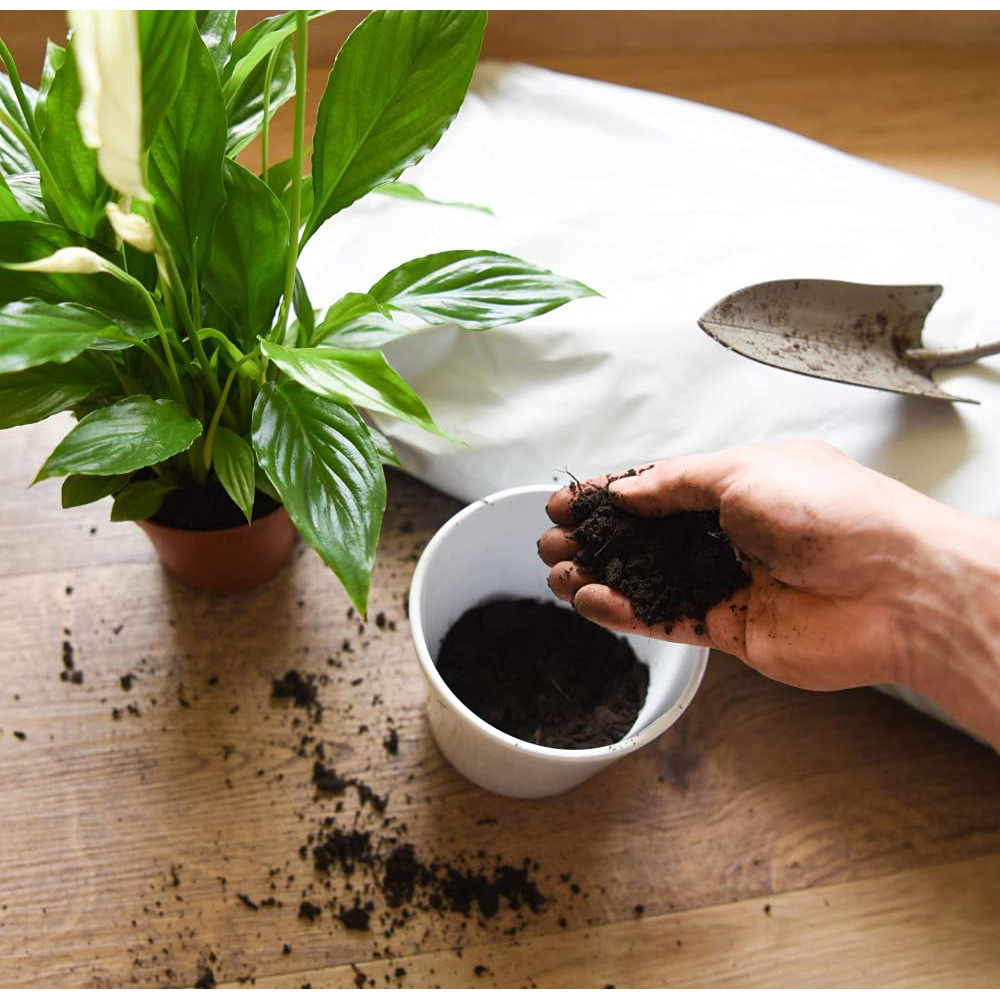 Thompson & Morgan Incredicompost Houseplant Peat Free Bag 25L Image 8