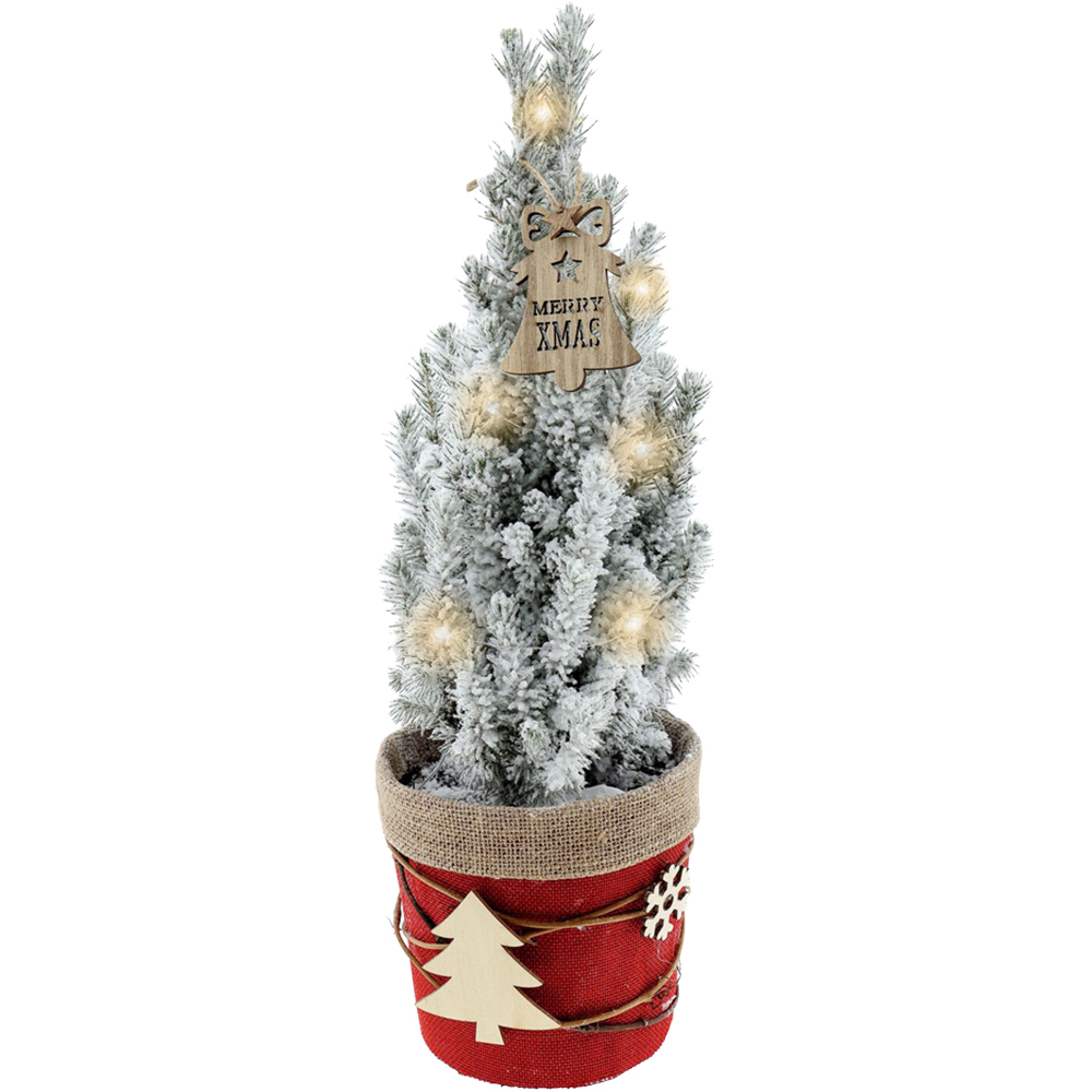 Snow Covered Pre Lit Picea Plant Real Christmas Tree in Pot 1.6ft Image 2