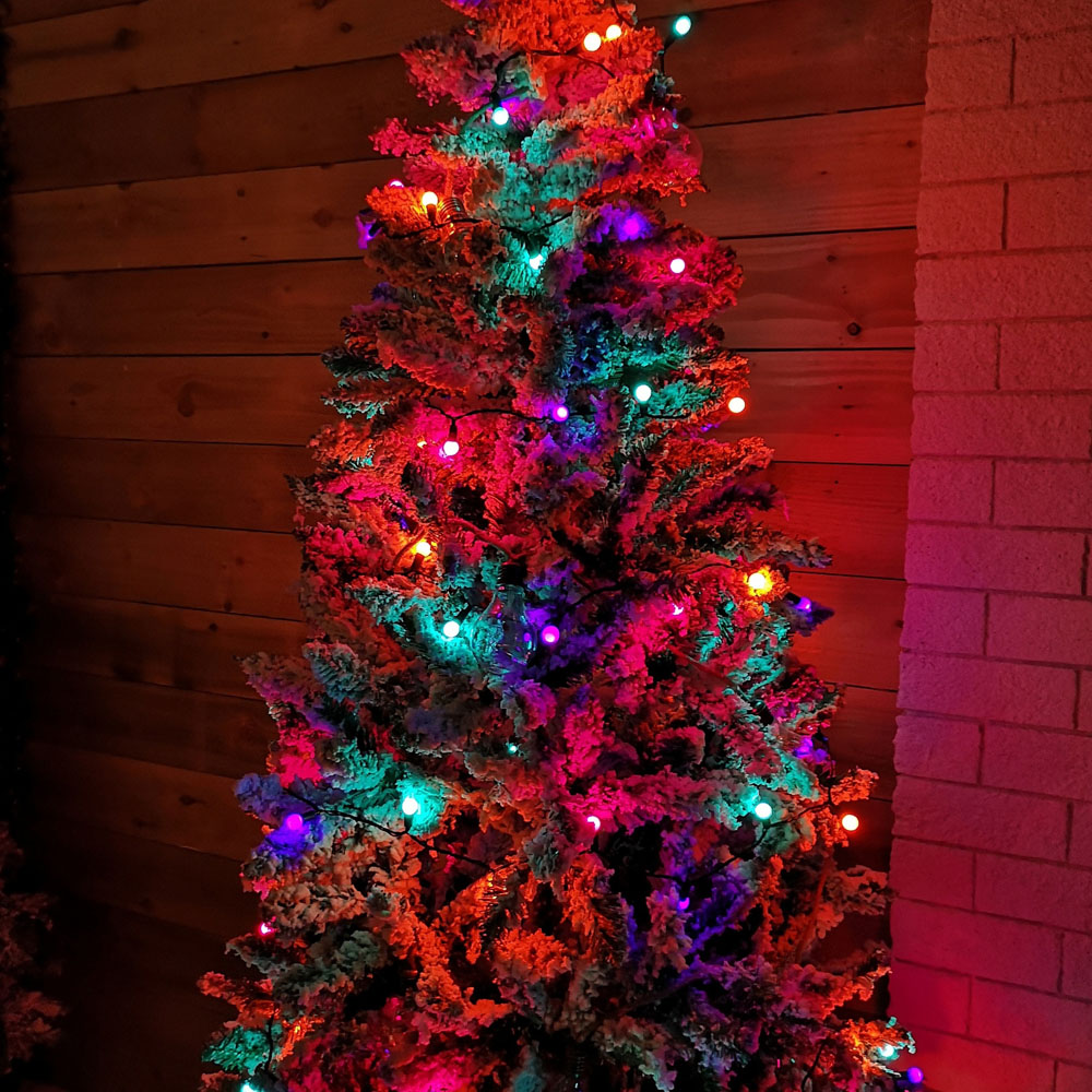 Samuel Alexander 100 Rainbow LED Pearl Berry Multi-Function Green String Light 10m Image 4