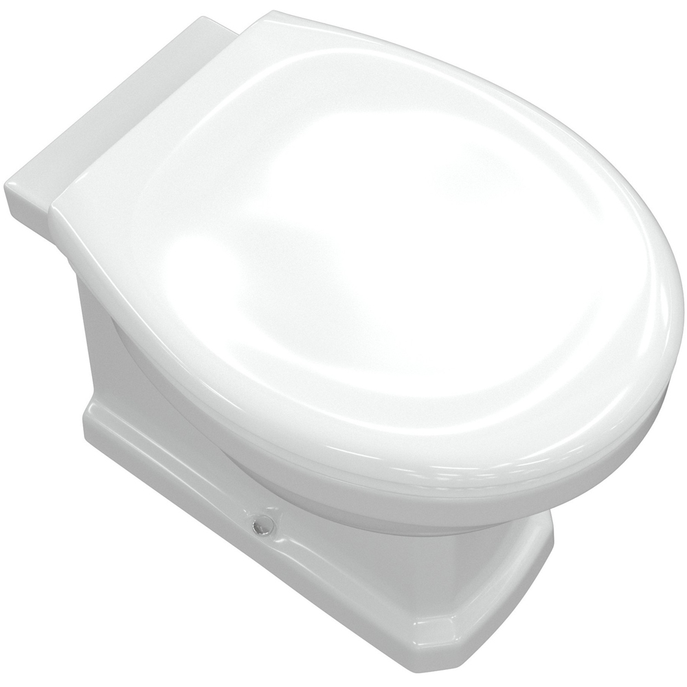 Bathstore Pelosa Back to Wall WC and Standard Soft Close Seat with Dual Flush and Brass Hinges Image 3