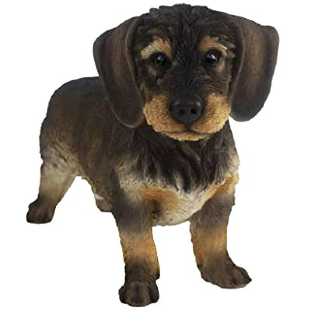 Fallen Fruits Brown Wire Haired Dachshund Decorative Ornament 27.8cm Image