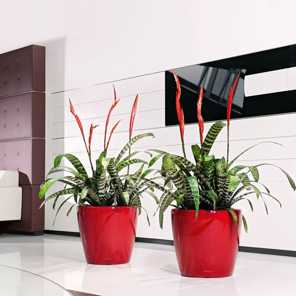 Lechuza Classico 43 LS White Poly-Resin Self-Watering Planter 40cm Image 5