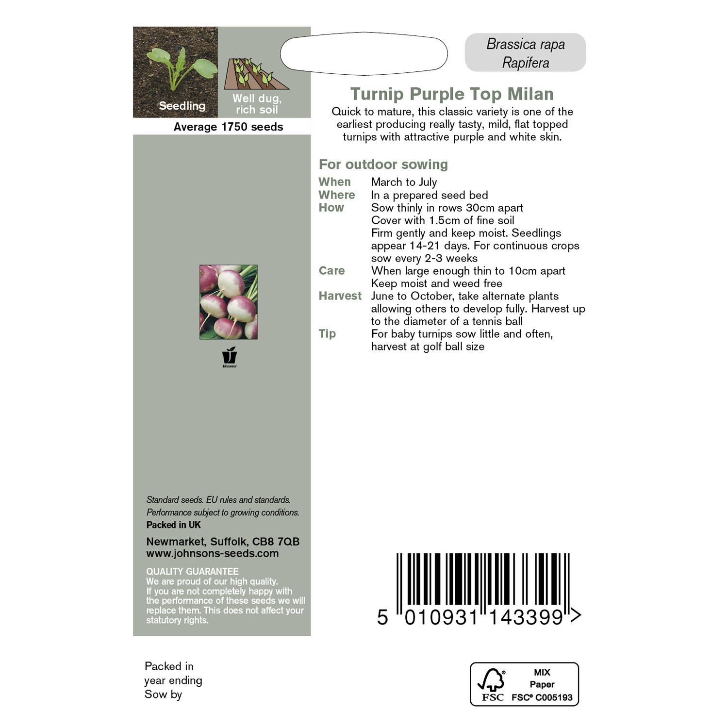 Johnsons Purple Top Milan Turnip Seeds Image 3