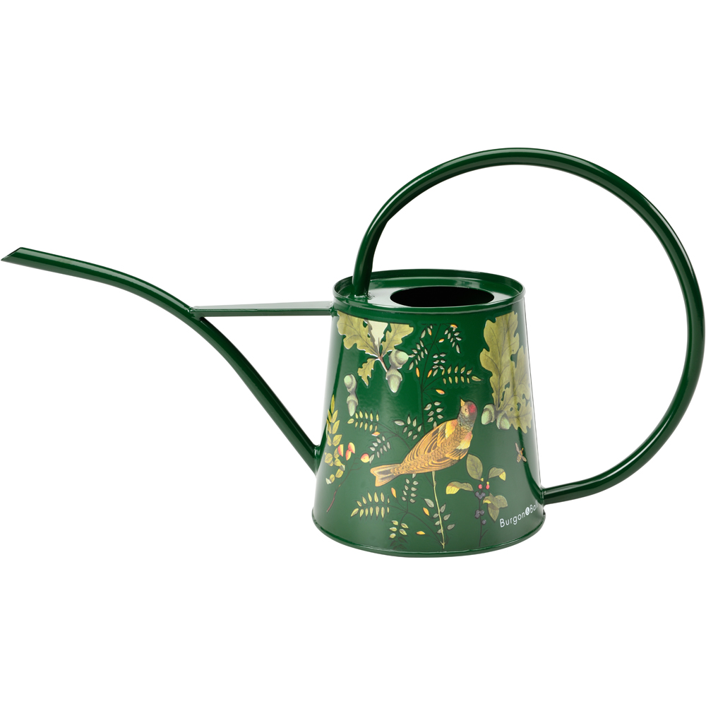 RHS Woodland Wonders Galvanised Steel Indoor Watering Can 1L Image 3