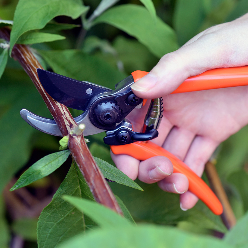 RHS Terracotta Carbon Steel Micro Garden Secateur Image 2