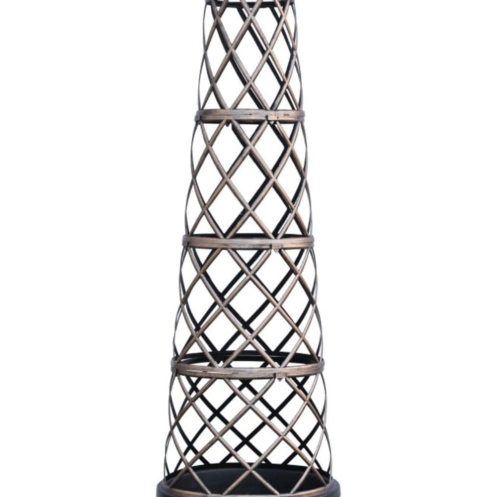 Thompson and Morgan Sweet Pea Collection Plant Pot Kit Image 4