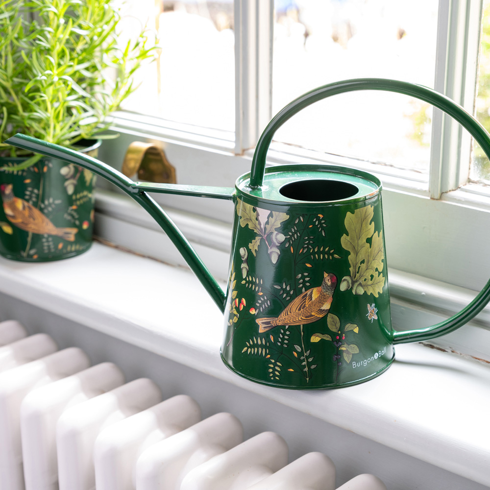 RHS Woodland Wonders Galvanised Steel Indoor Watering Can 1L Image 2