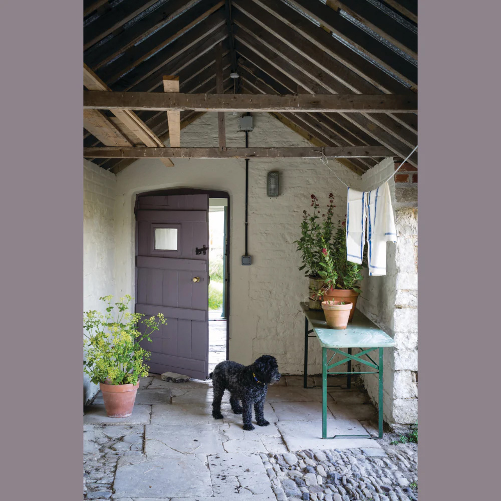 Farrow & Ball Dead Flat Brassica Matt Paint 2.5L Image 4