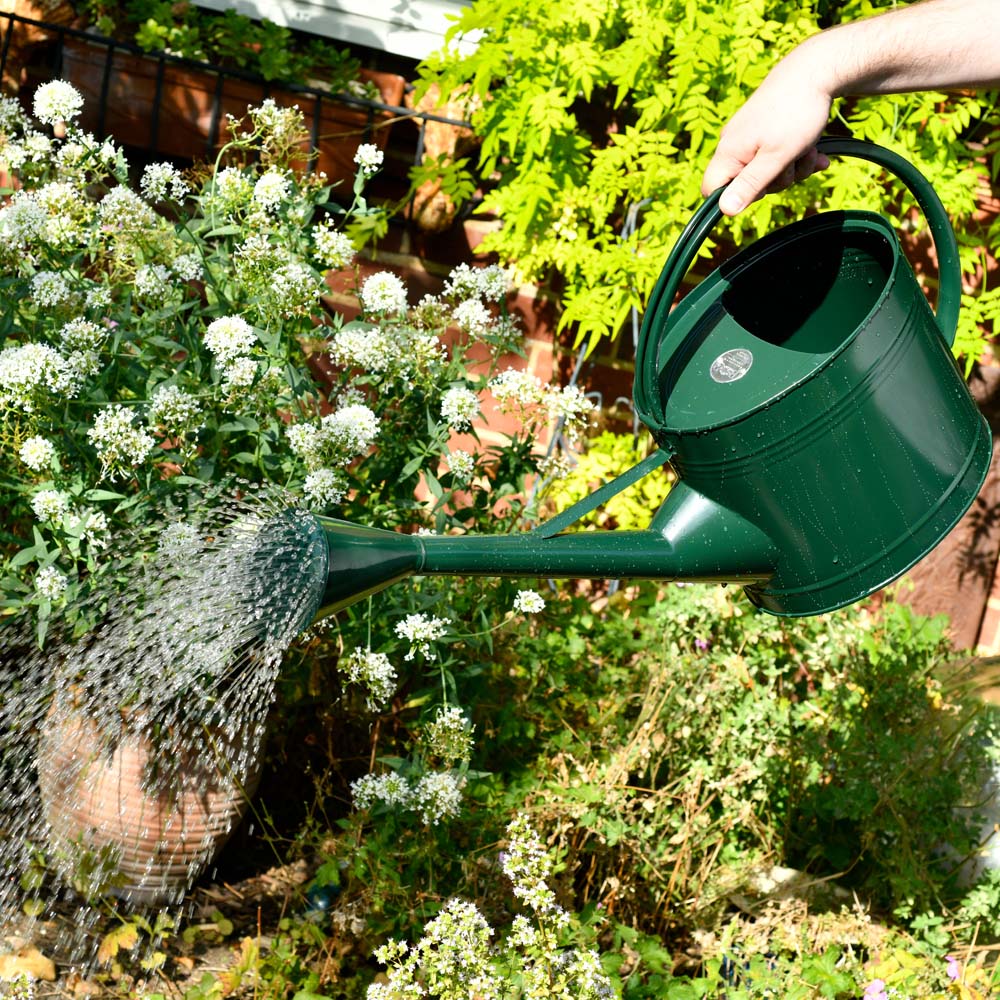 Burgon & Ball British Racing Green Galvanised Steel Waterfall Watering Can with Removeable Rose 9L Image 2