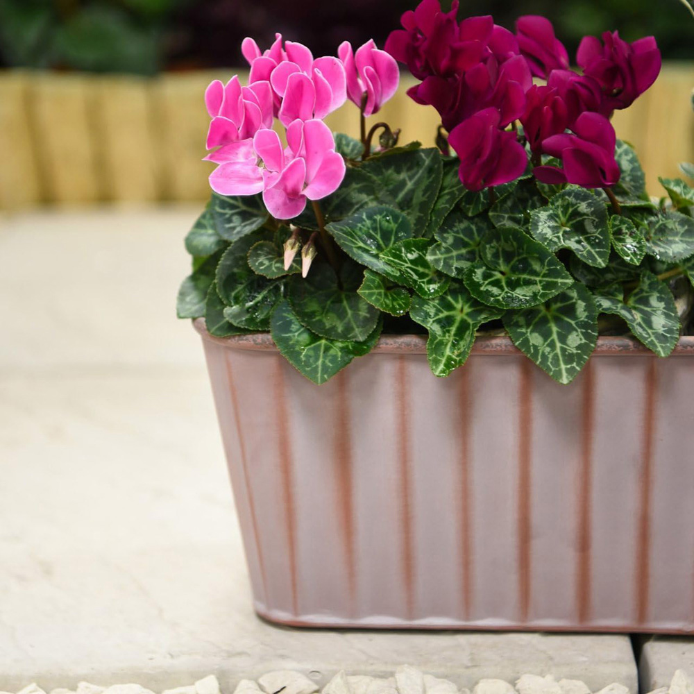 Garden Gear Effect Rust Trough Metal Planter 38cm 2 Pack Image 3