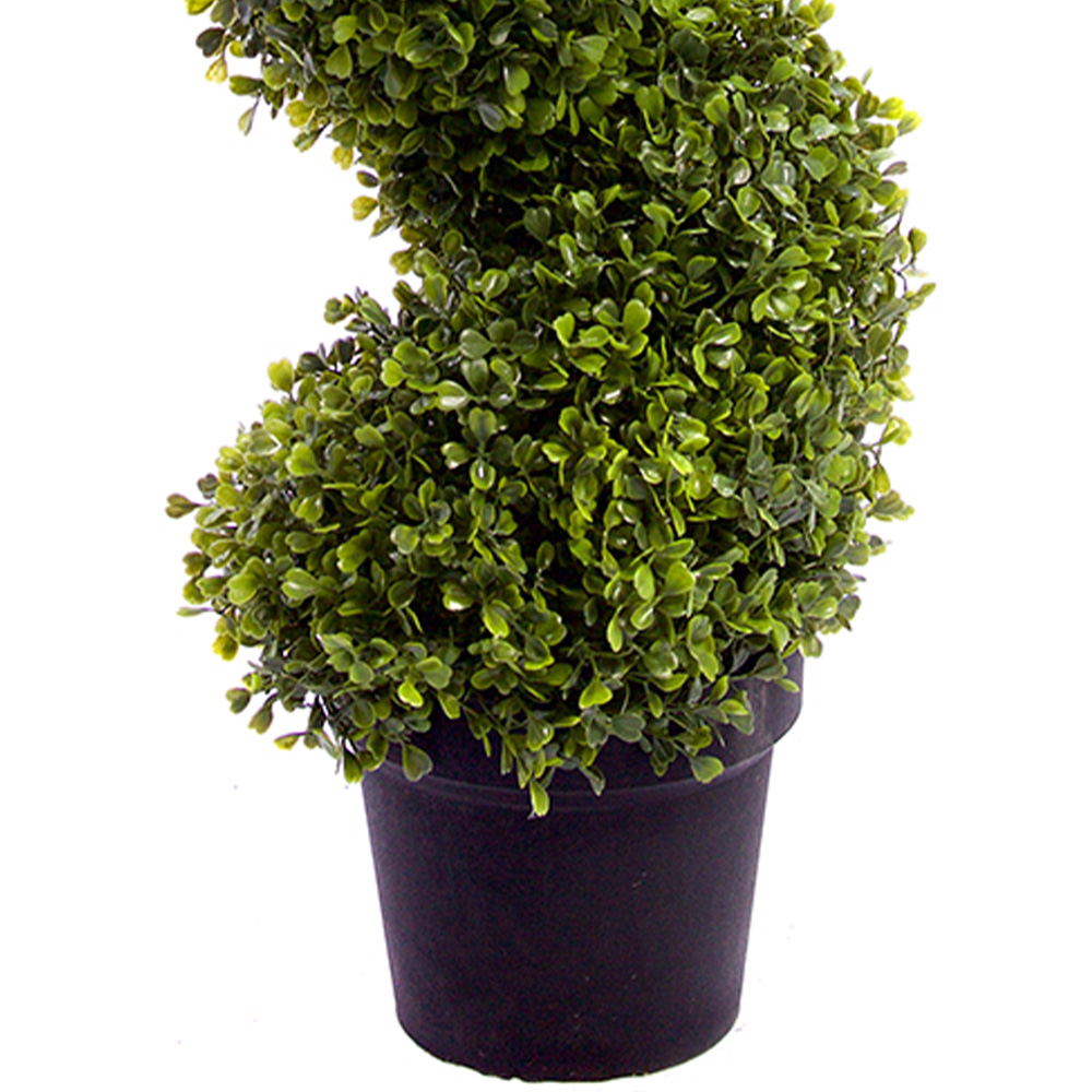 3ft Boxwood Spiral Topiary Tree Image 3