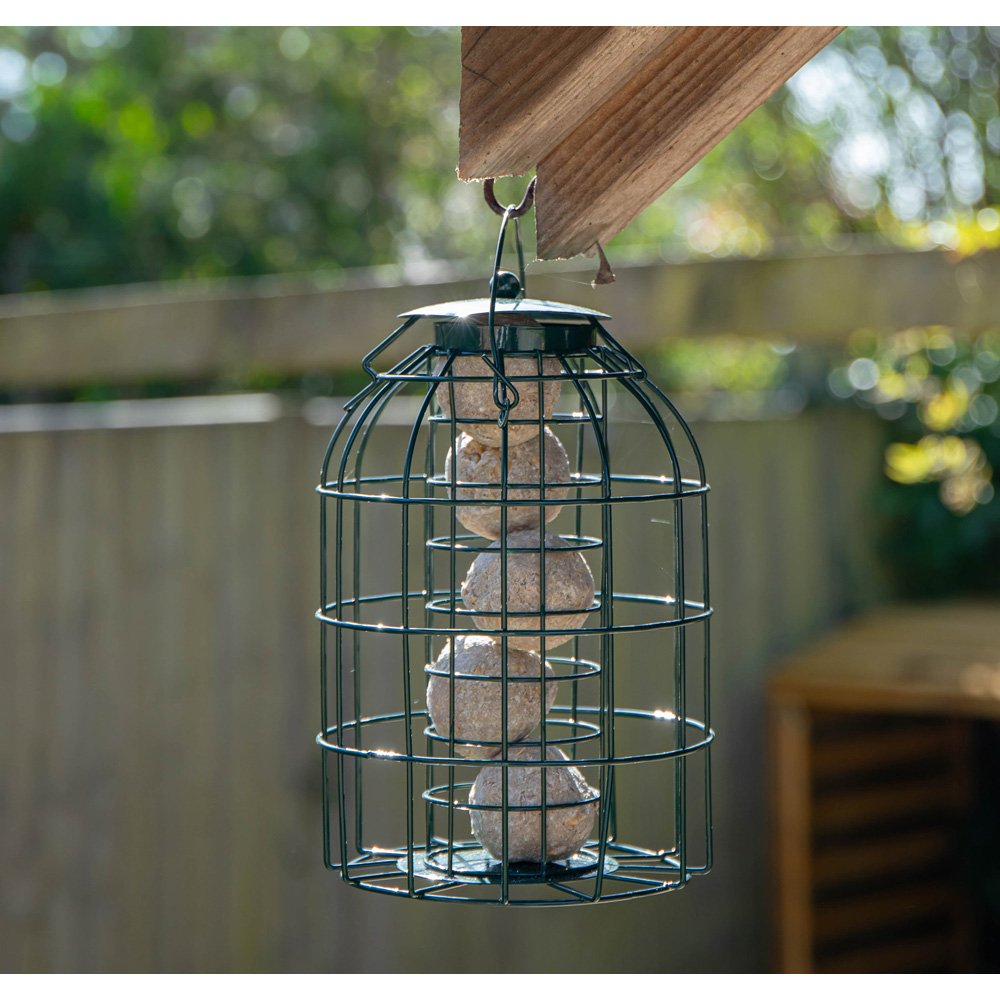 Samuel Alexander 2 Pack Metal Hanging Bird Feeder with Squirrel Guard and Suet Fat Ball 6 Pack Image 3