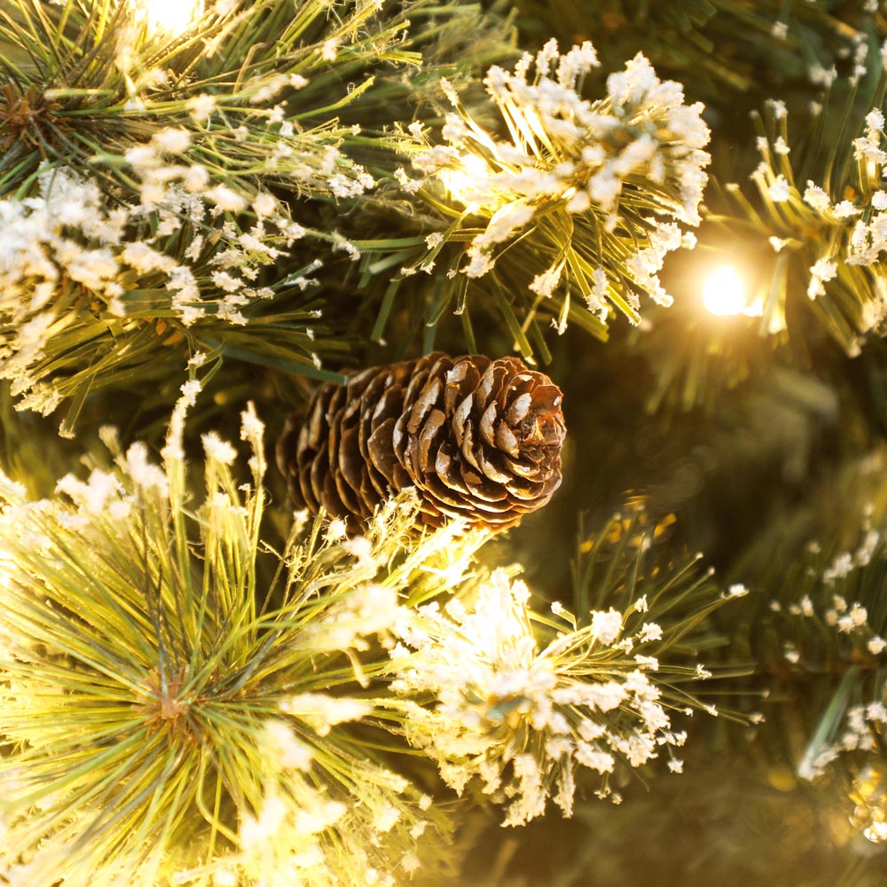 Everglow Pre-Lit Snow Flocked Tabletop Artificial Christmas Tree with Pinecones 2ft Image 3