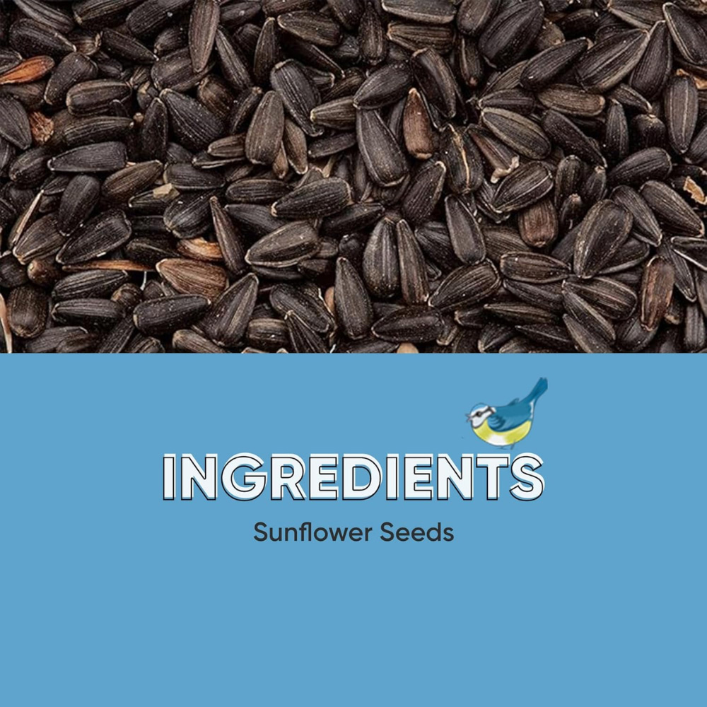 Happy Beaks Black Sunflower Seeds 25.5kg Image 6