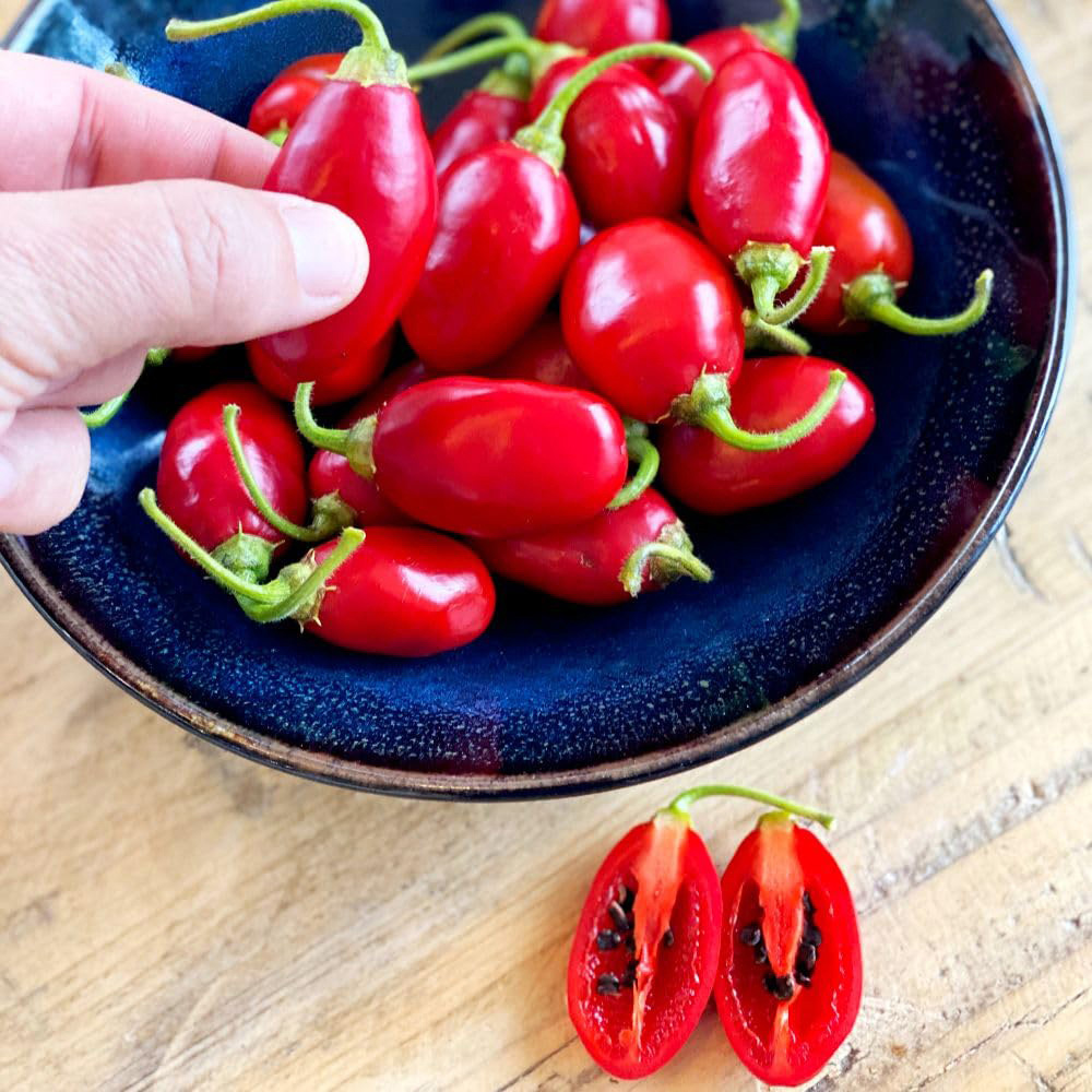 Thompson and Morgan Chilli Pepper Capsicum pubescens Scallywag Seed Packet Image 2