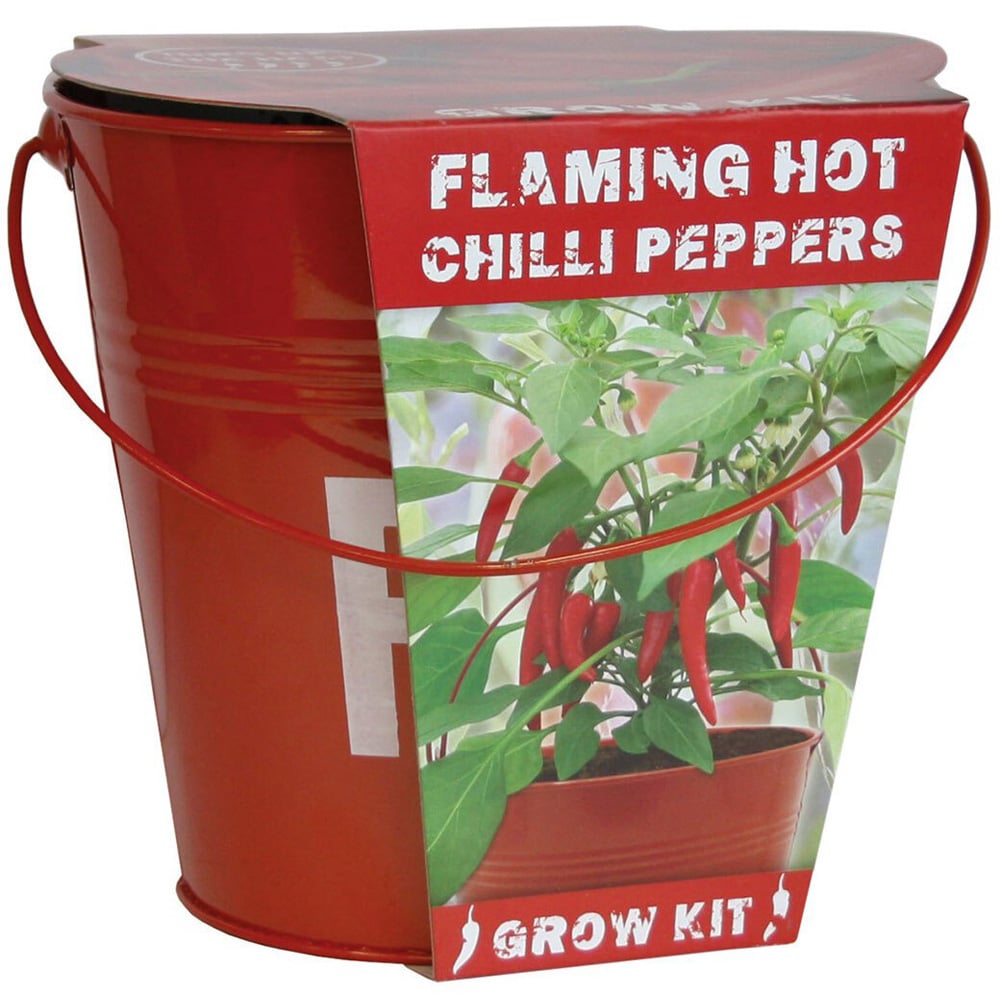 Chilli Fire Bucket - Red Image 1