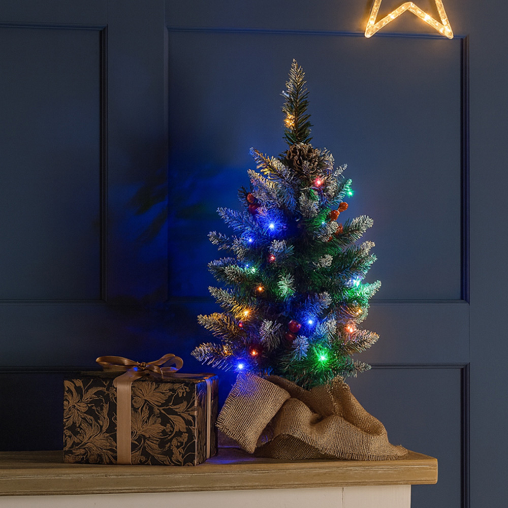 Marco Paul Multicolour LED Pre-Lit Artificial Christmas Tree with Berry and Pinecone 2ft Image 5